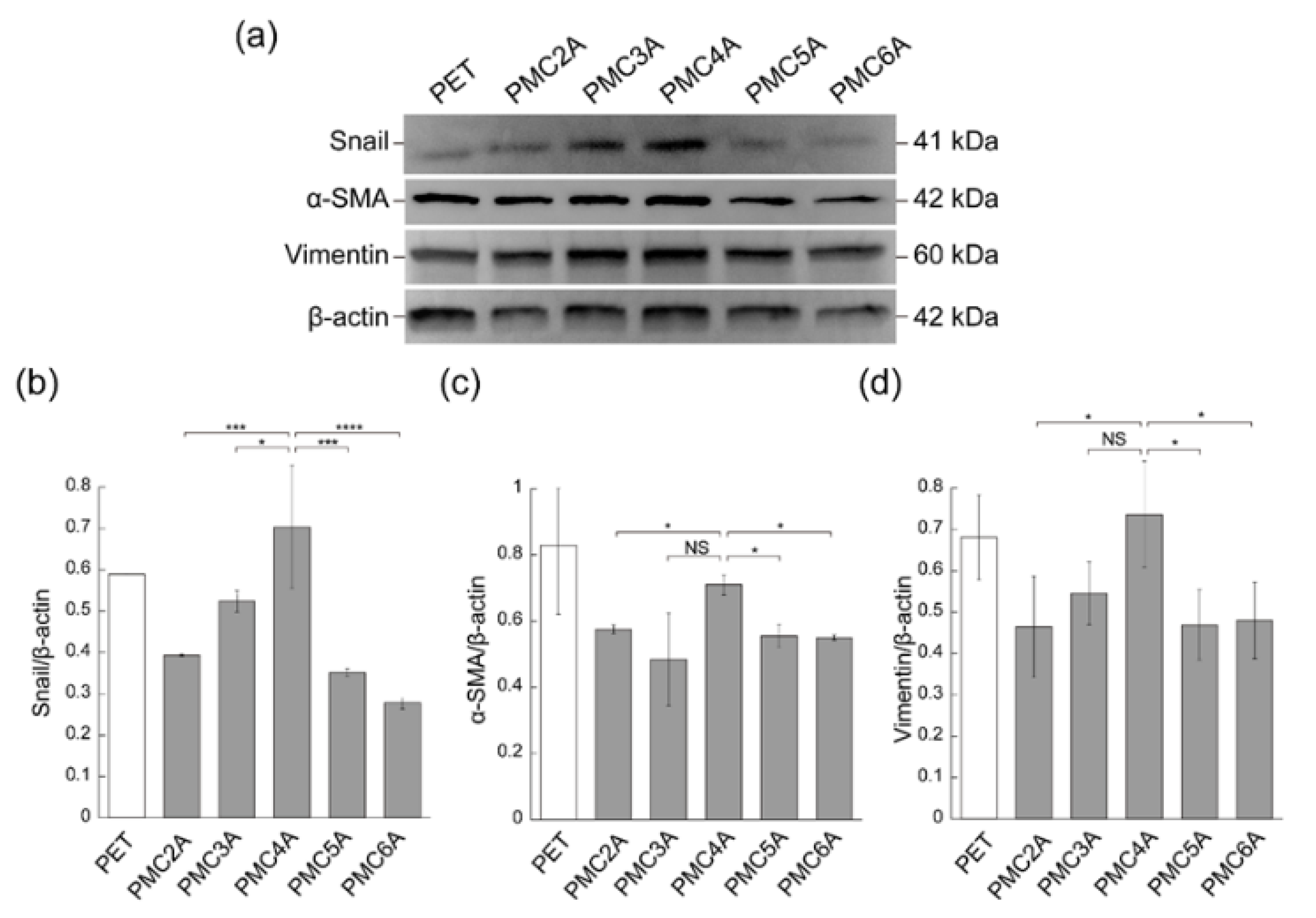 Coatings 11 00461 g005 Coatings 11 00461 g005