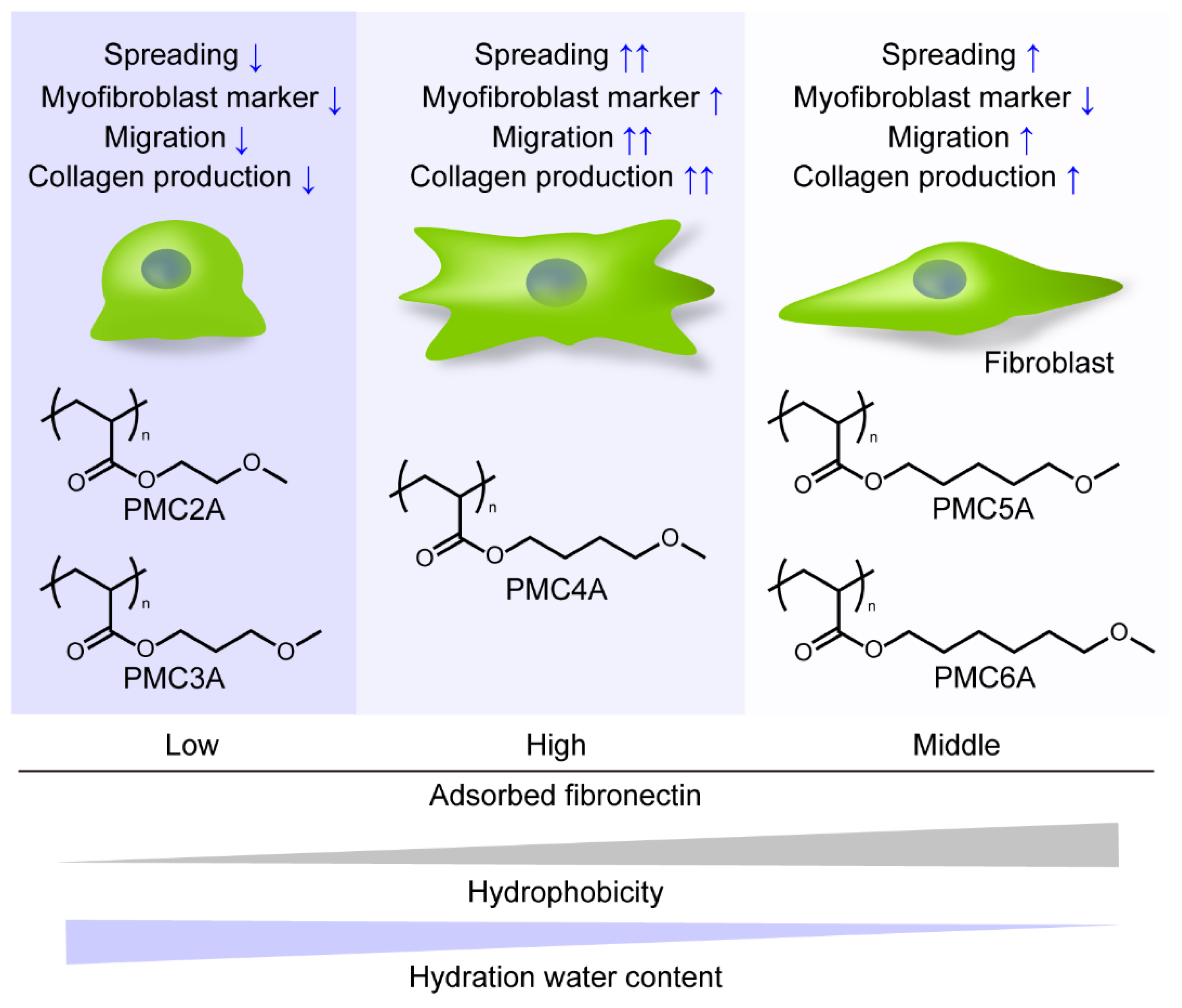 Coatings 11 00461 g008 Coatings 11 00461 g008