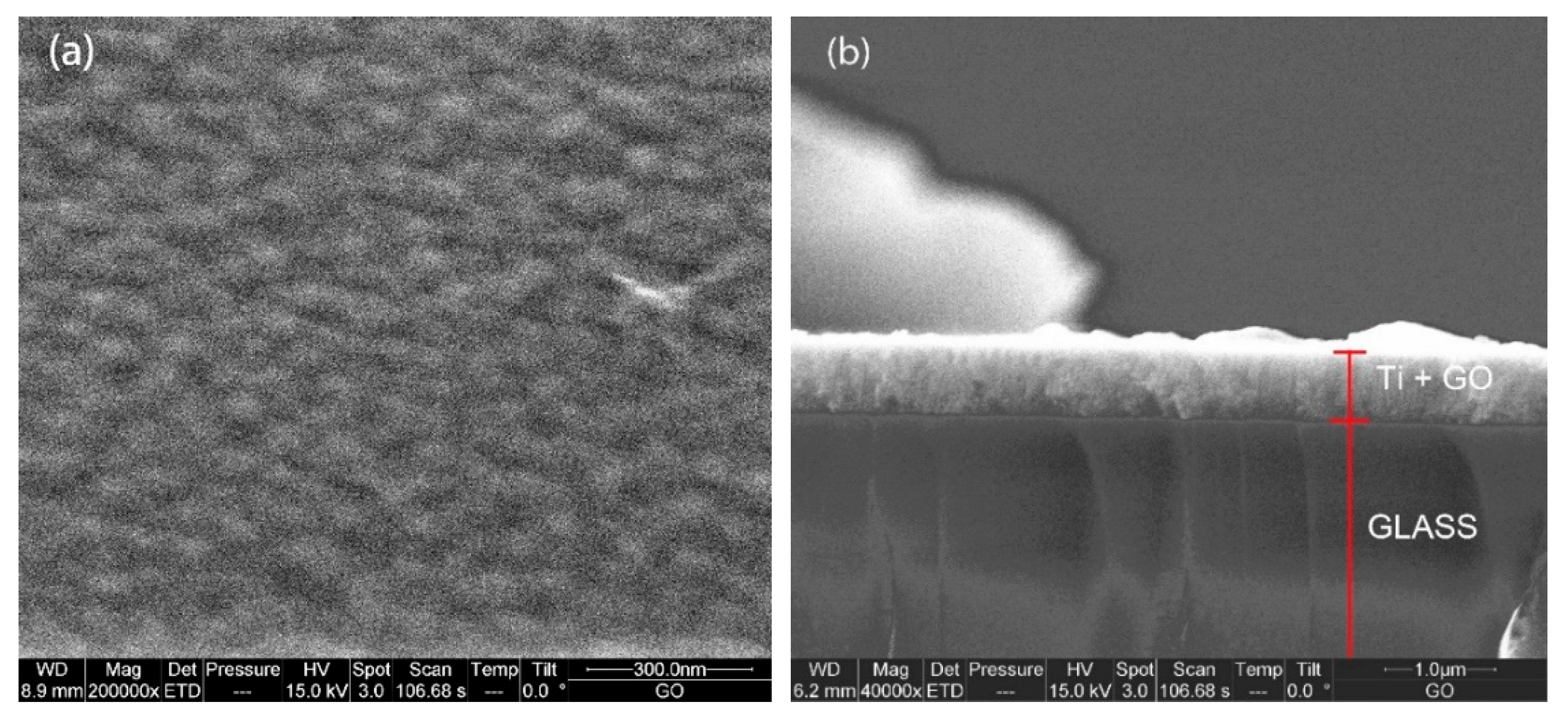 Coatings 11 00462 g002