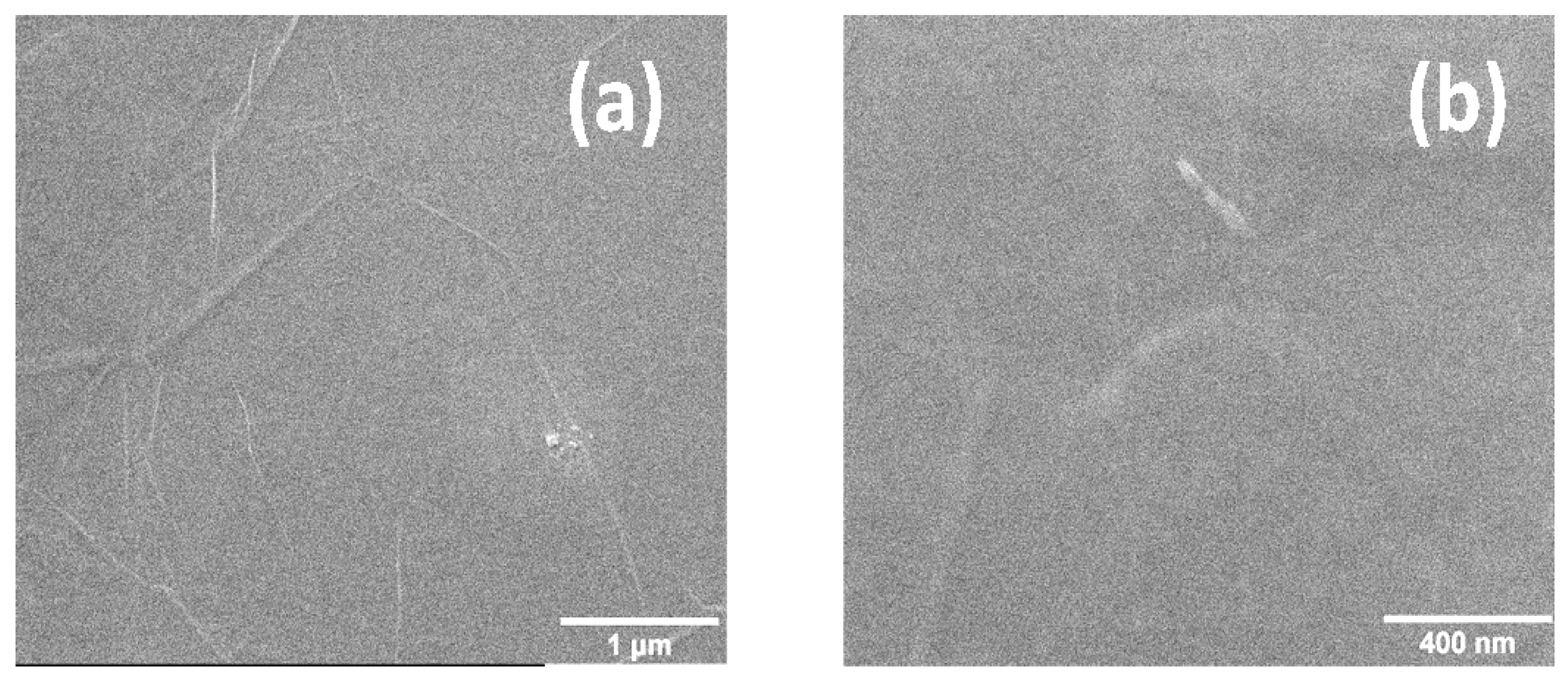 Coatings 11 00462 g010
