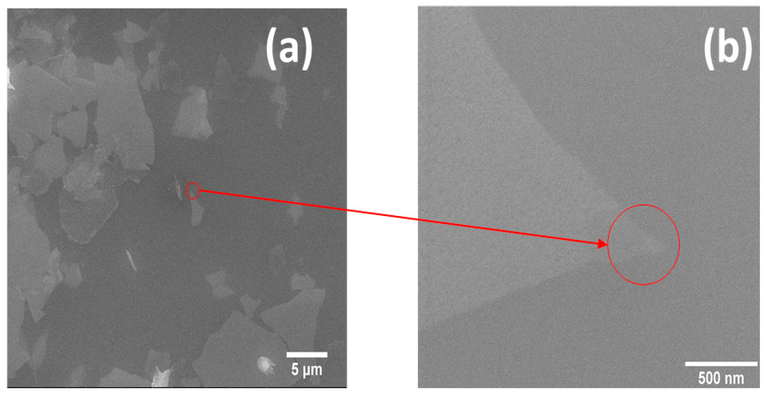 Coatings 11 00462 g012