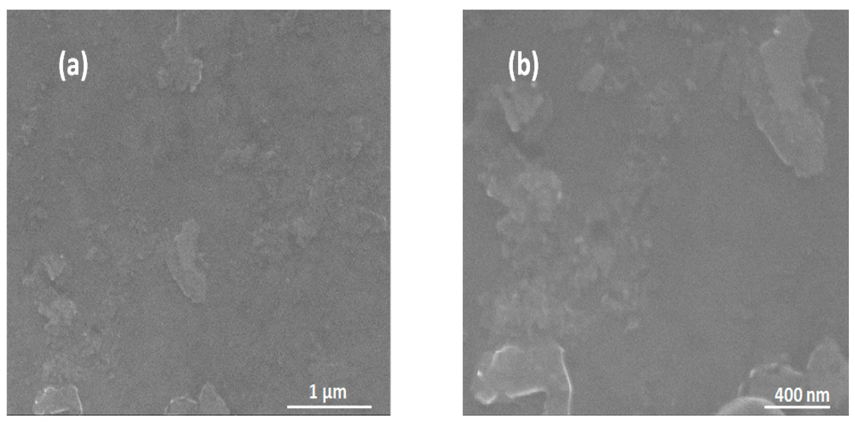 Coatings 11 00462 g014