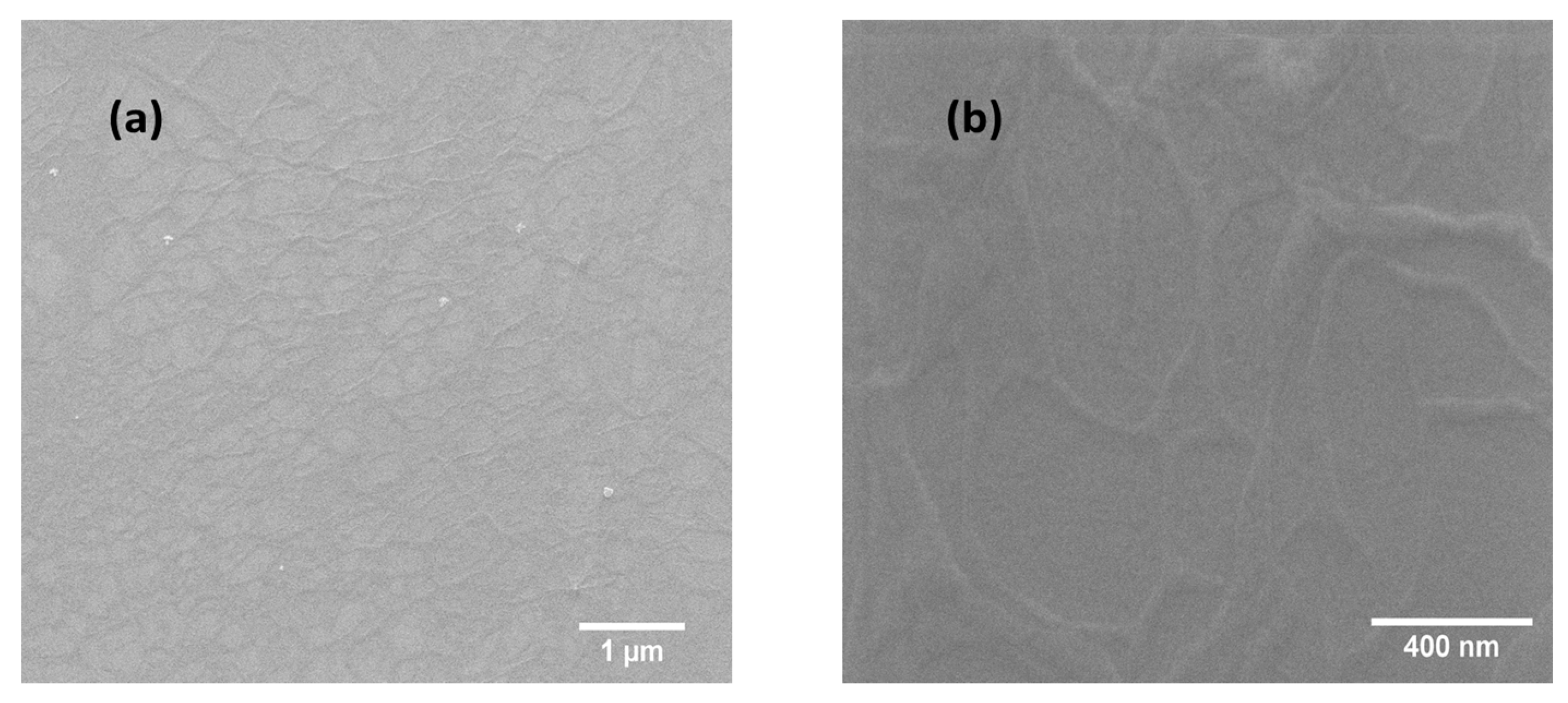Coatings 11 00462 g019