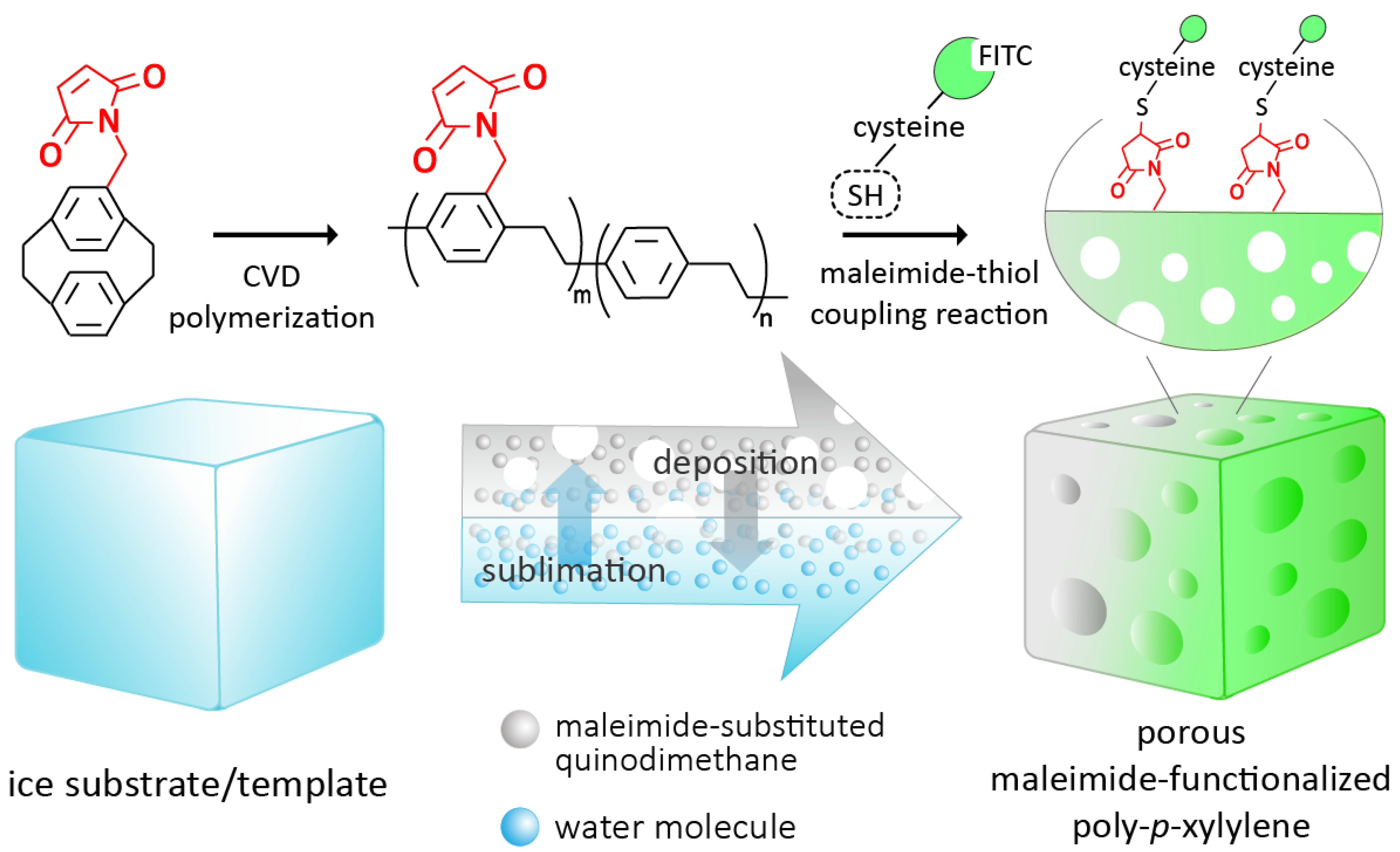 Coatings 11 00466 g001