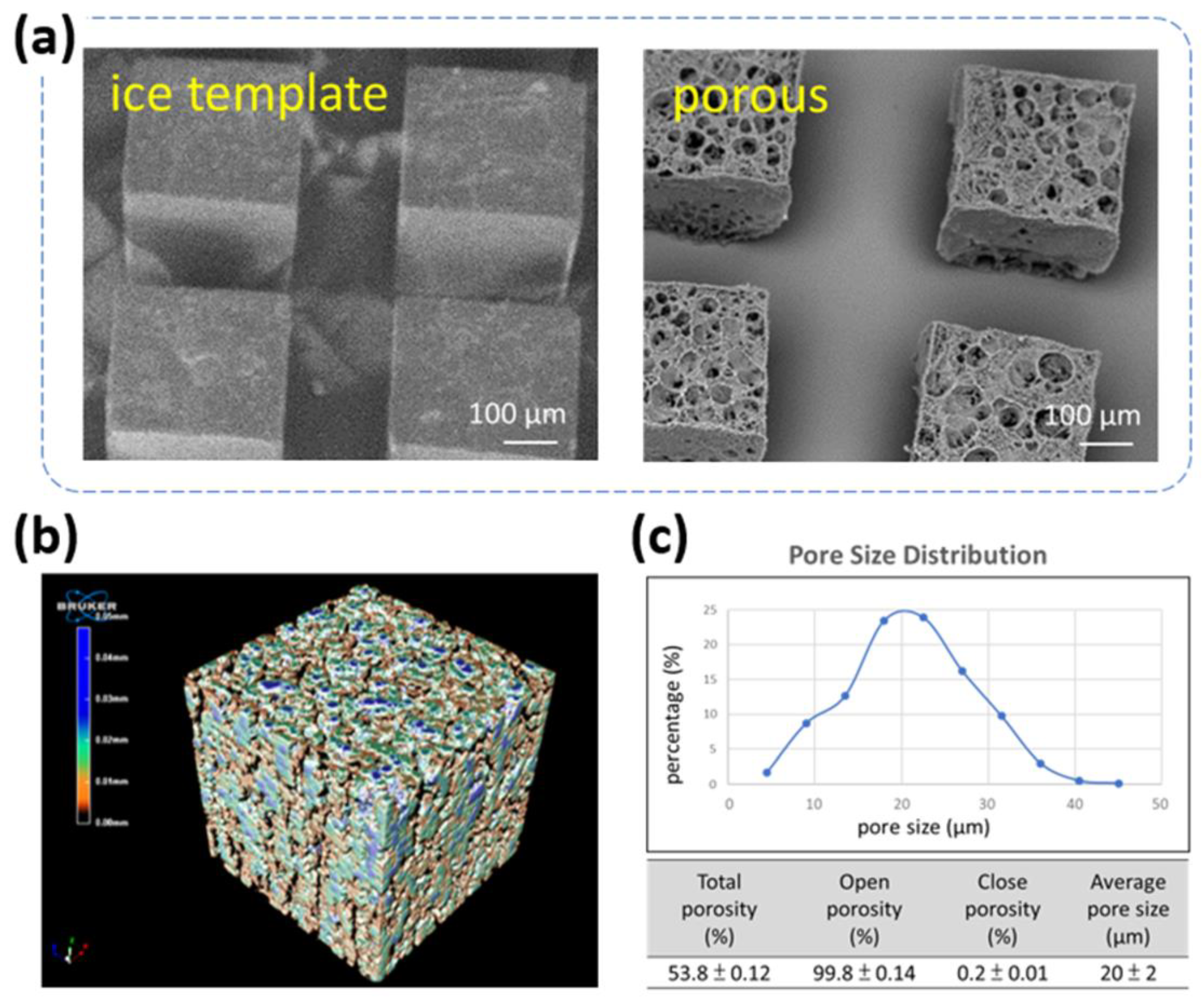 Coatings 11 00466 g003
