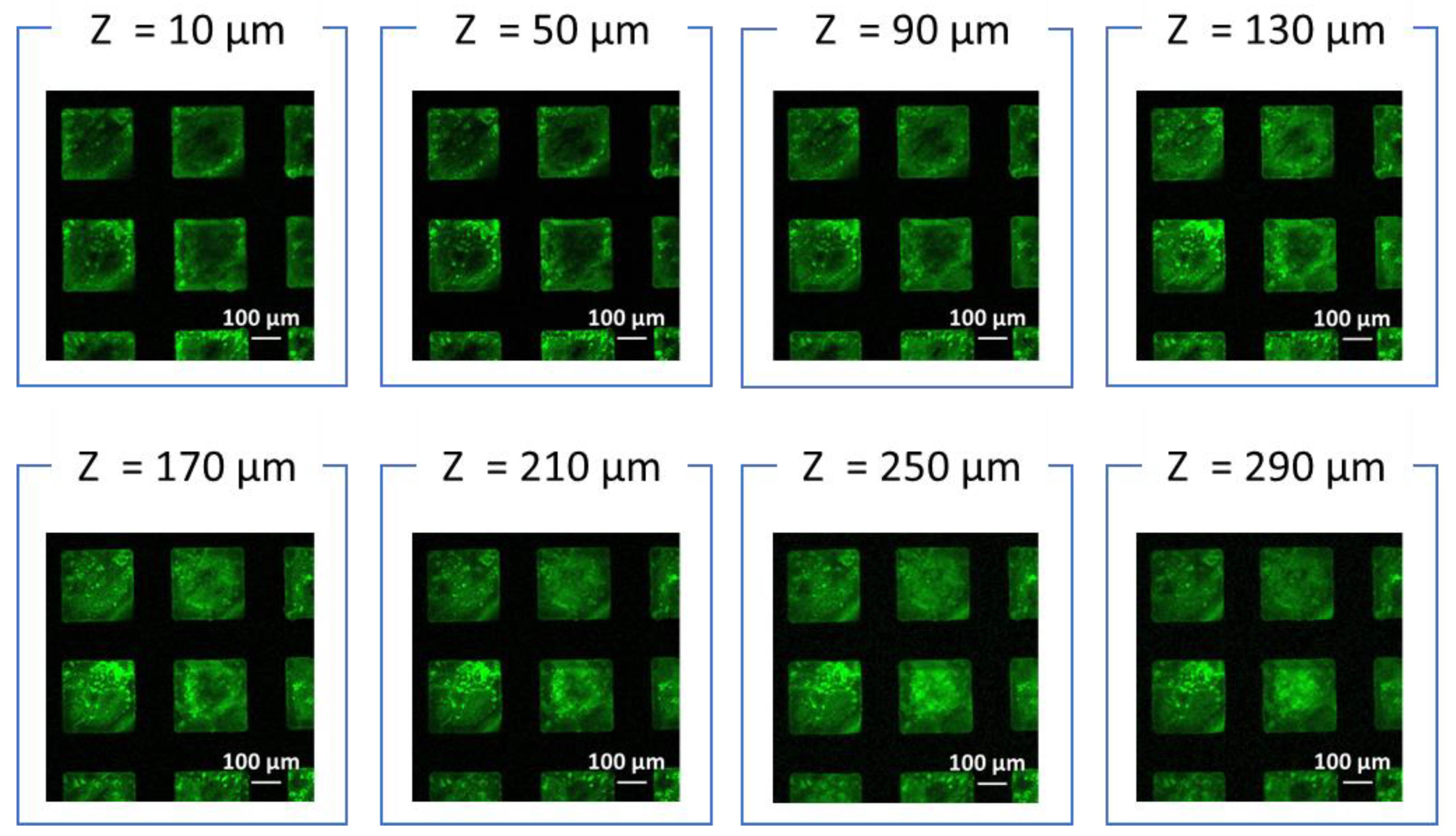 Coatings 11 00466 g006