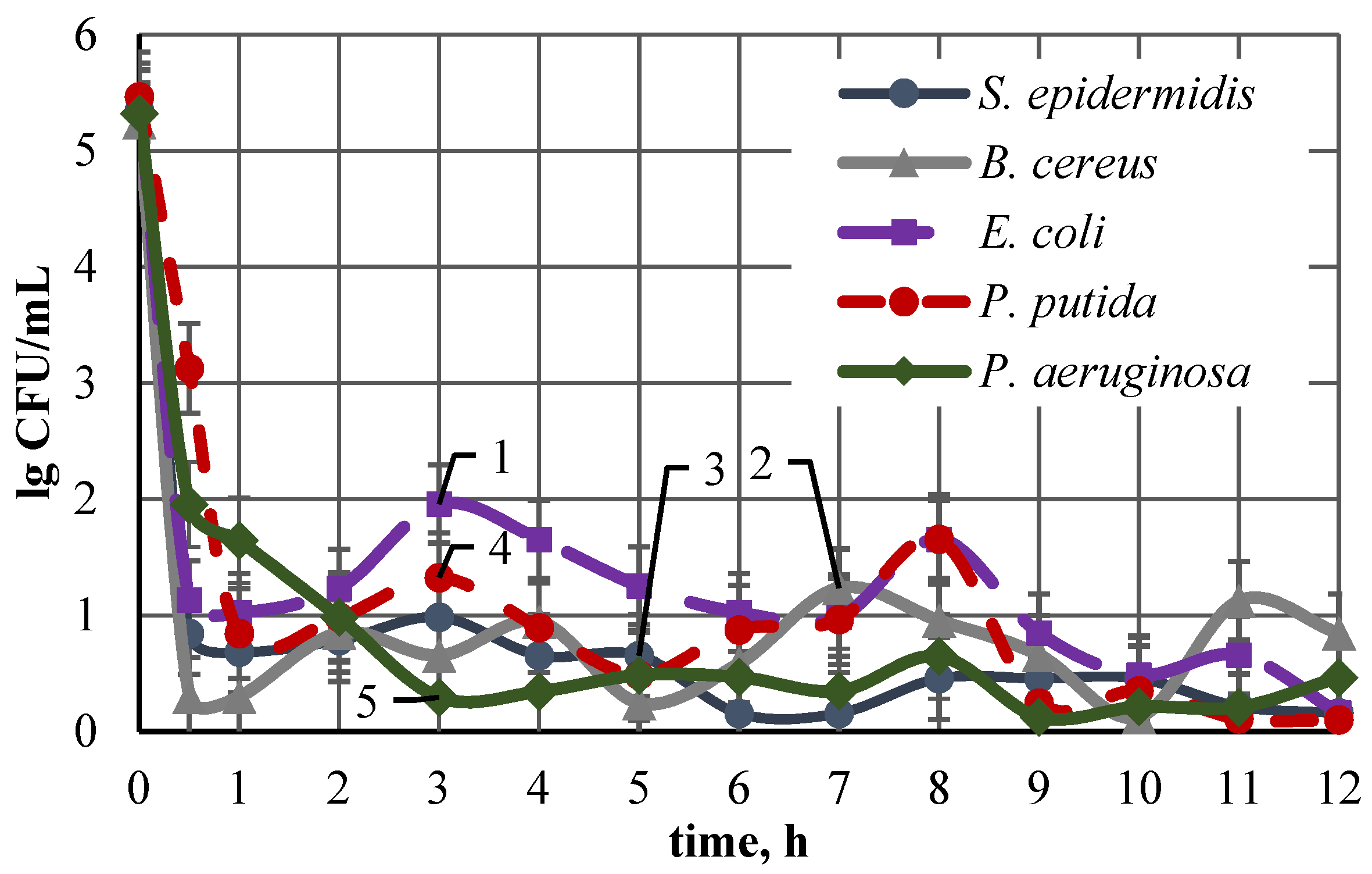 Coatings 11 00473 g005 Coatings 11 00473 g005