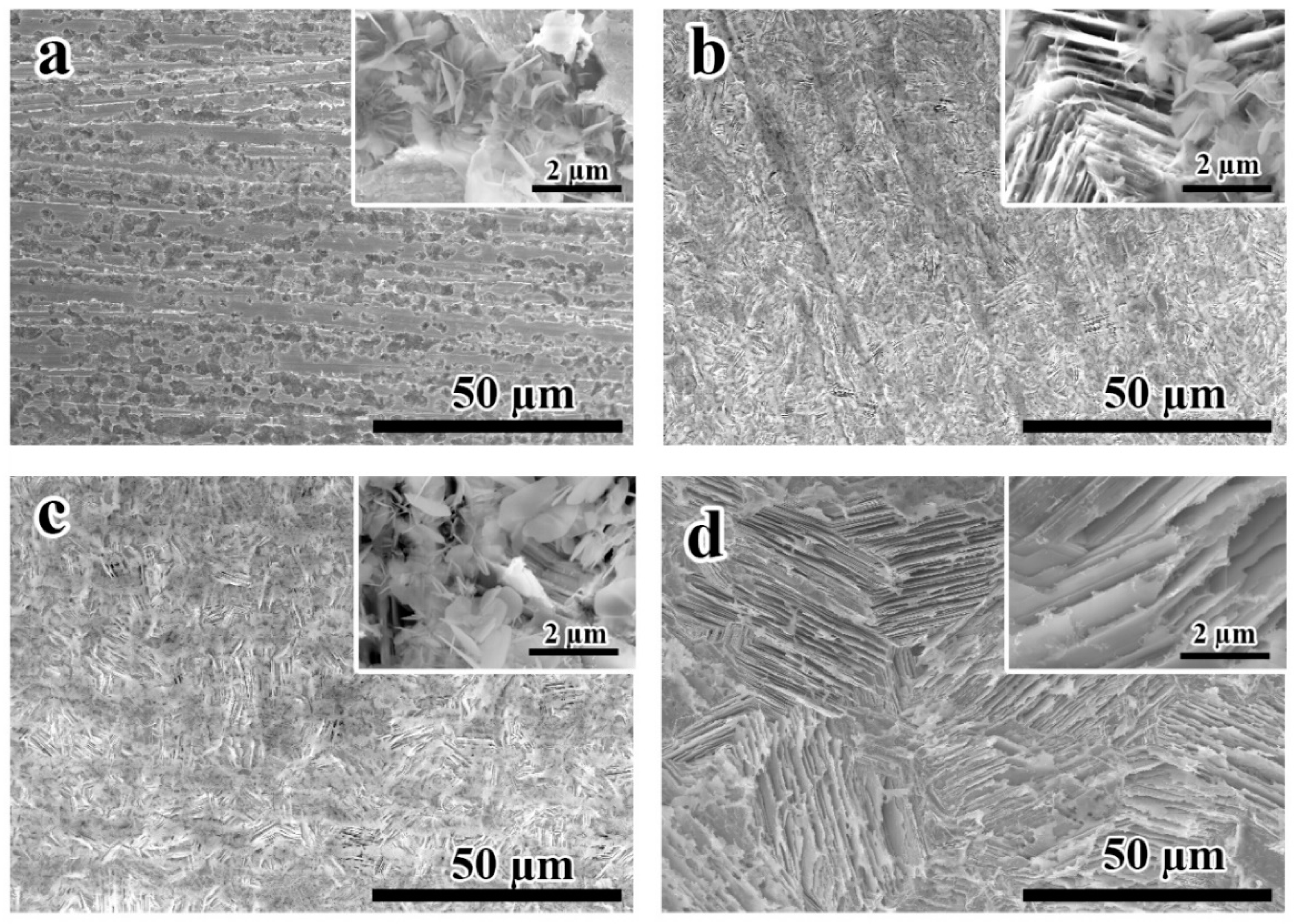 Coatings 11 00486 g002