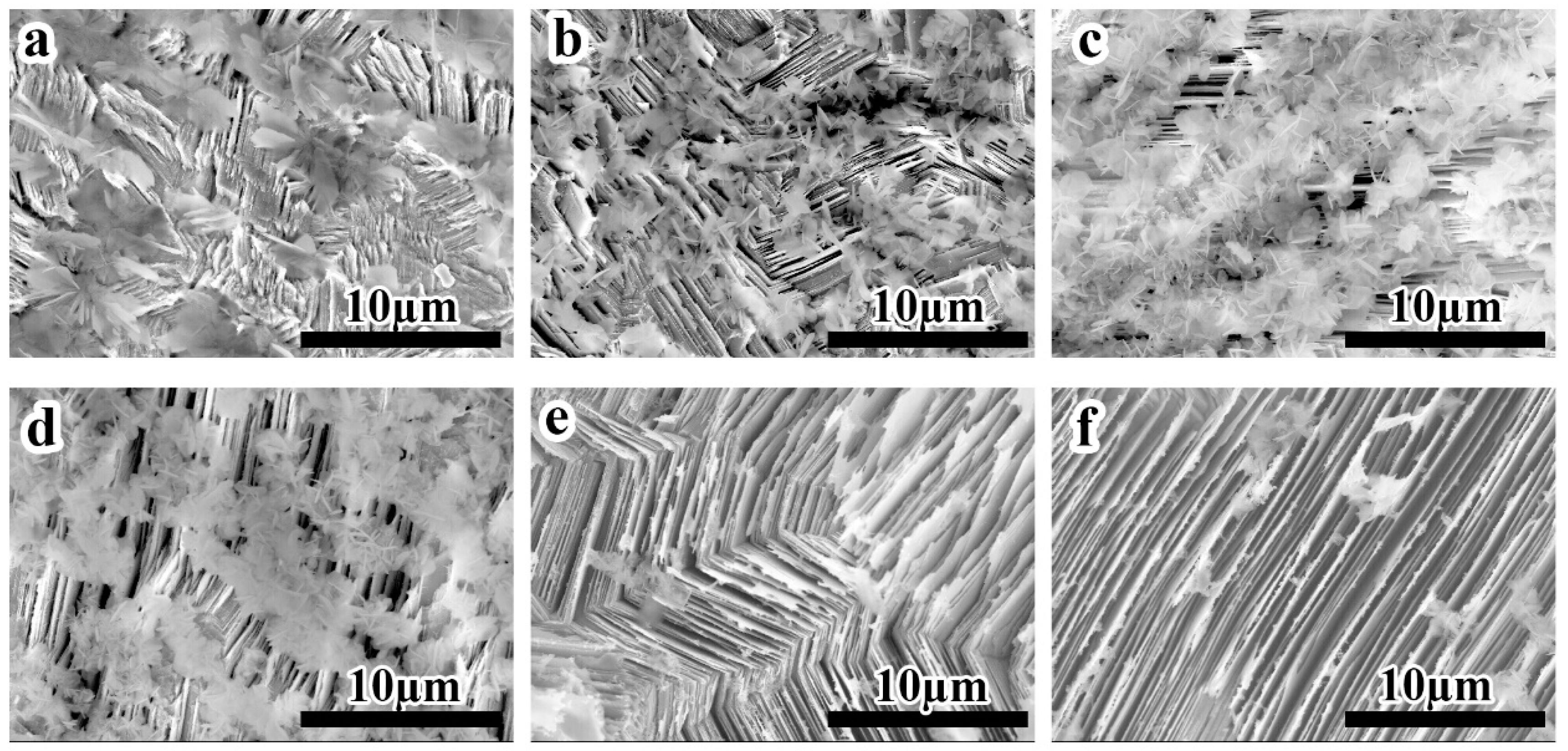 Coatings 11 00486 g003