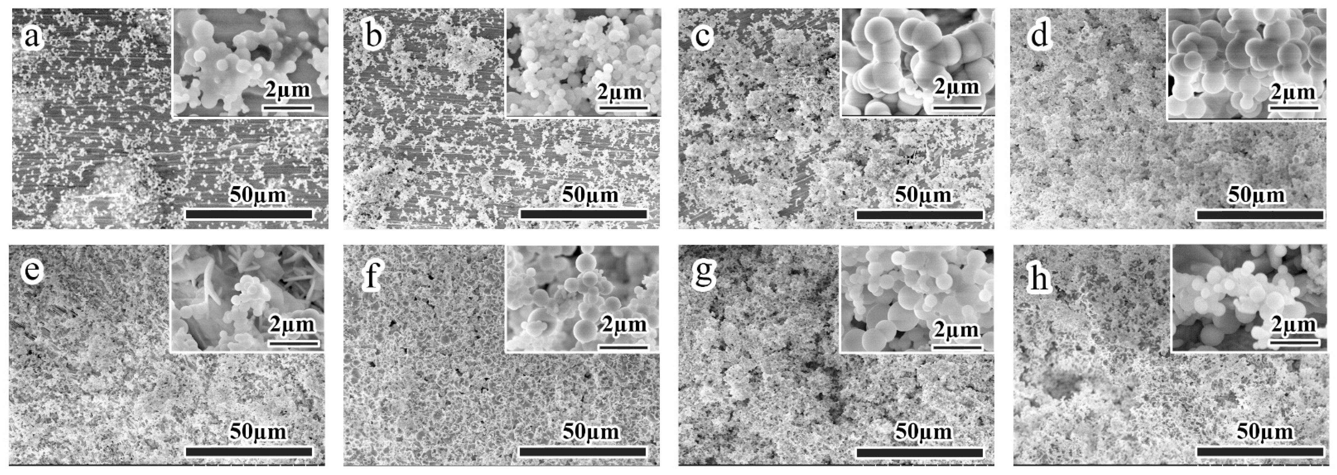 Coatings 11 00486 g006
