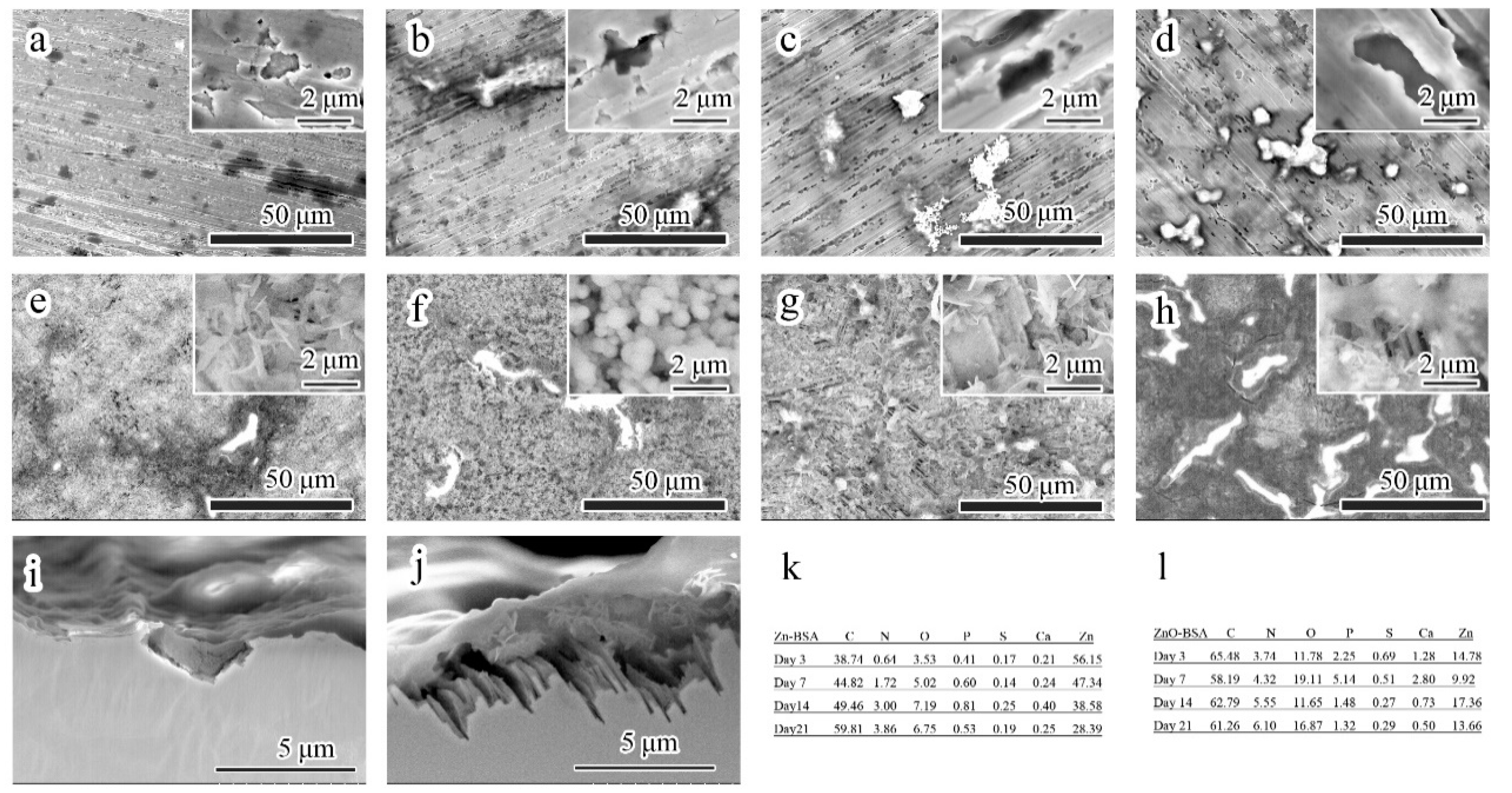 Coatings 11 00486 g007