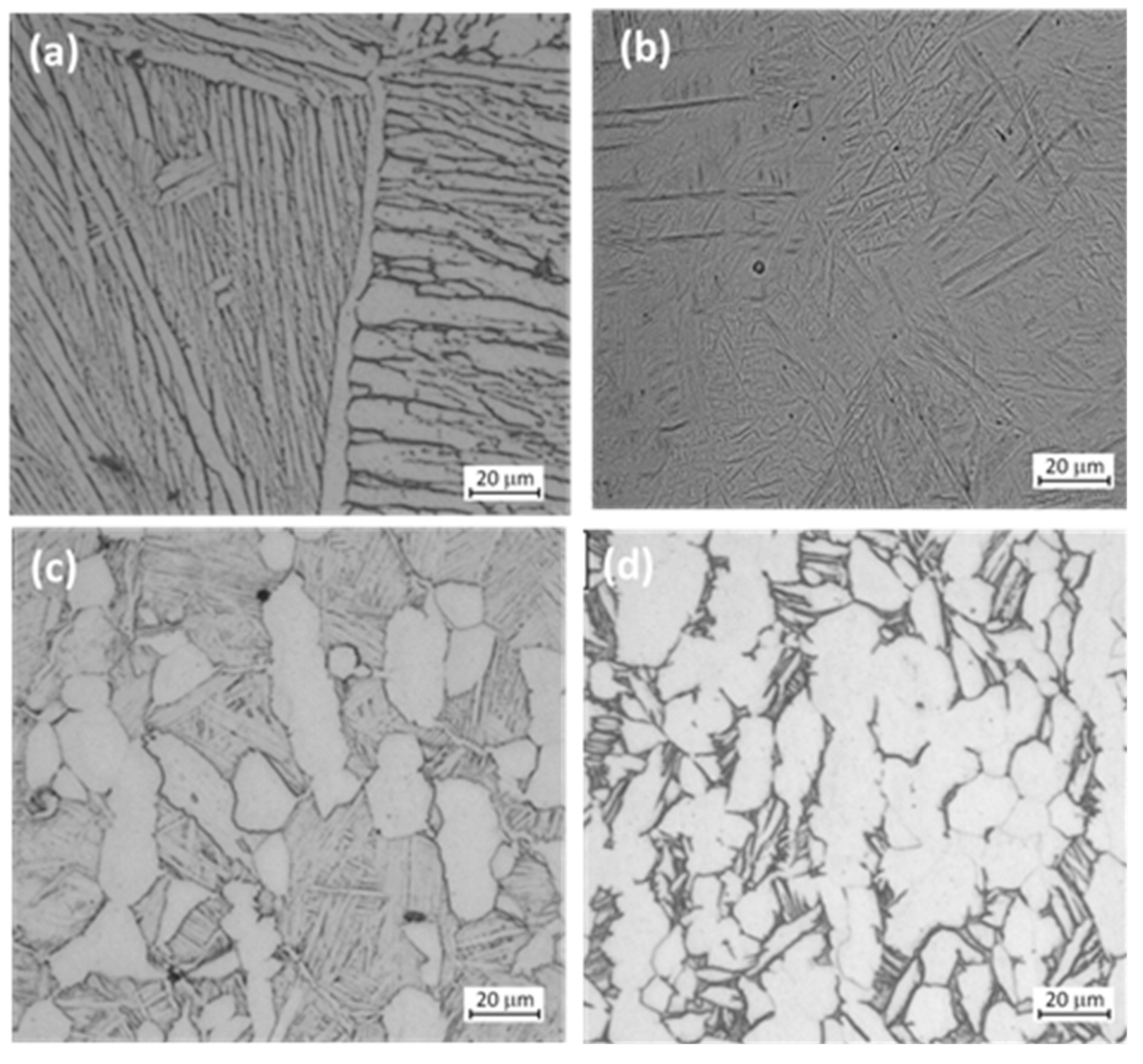 Coatings 11 00487 g002 Coatings 11 00487 g002