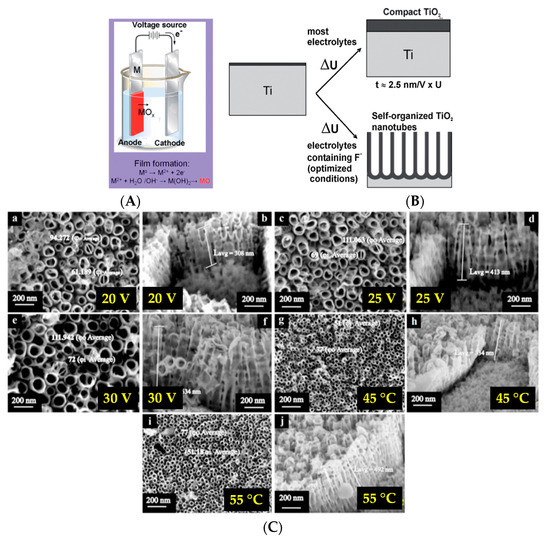 Coatings 11 00487 g008