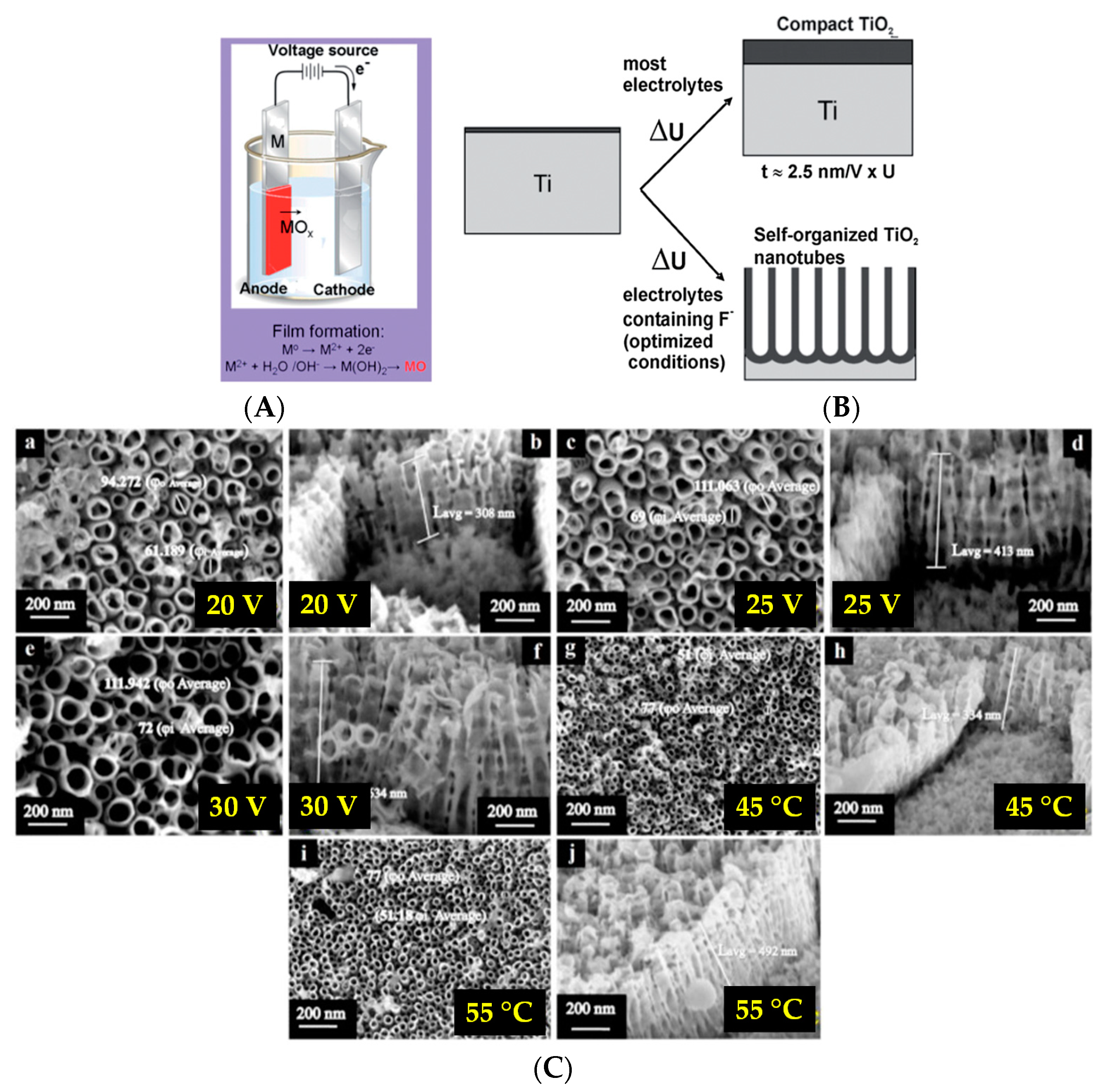 Coatings 11 00487 g008 Coatings 11 00487 g008