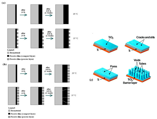 Coatings 11 00487 g009