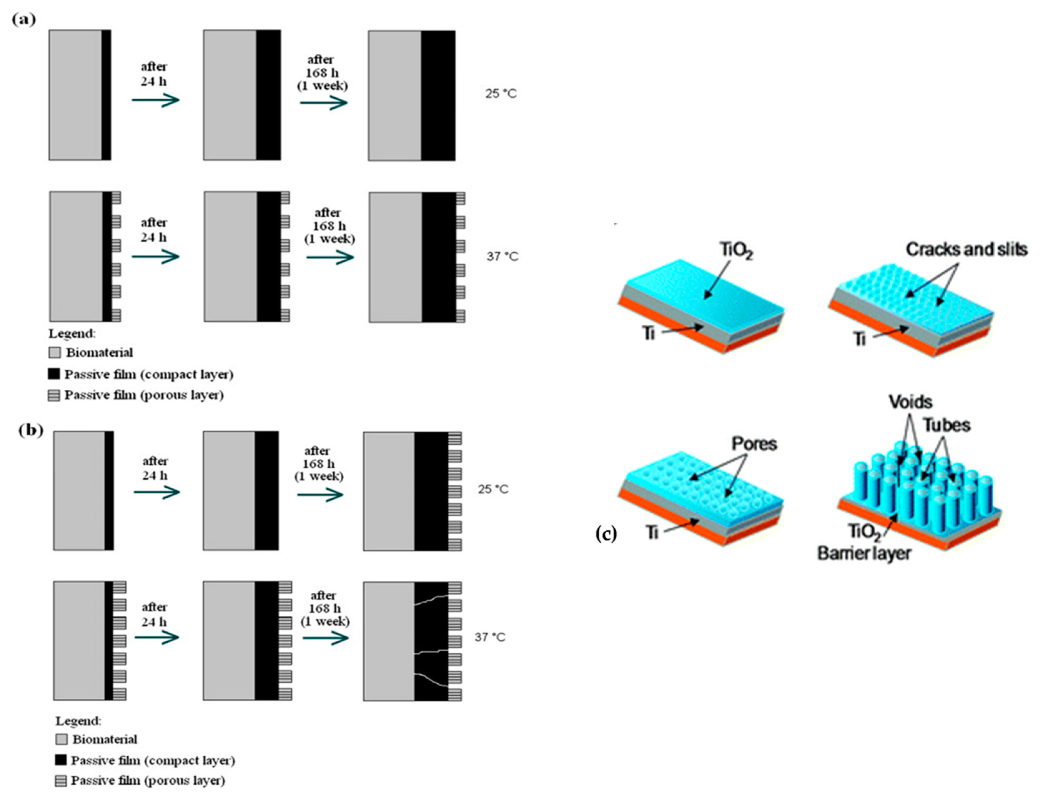 Coatings 11 00487 g009 Coatings 11 00487 g009