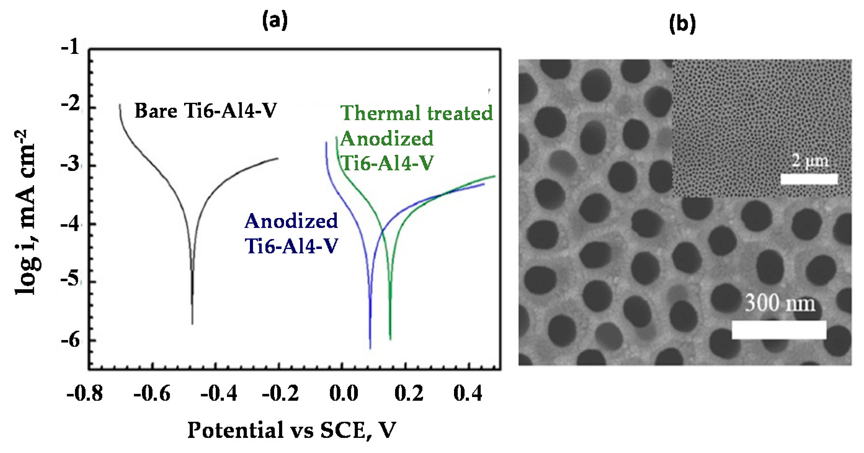 Coatings 11 00487 g012 Coatings 11 00487 g012