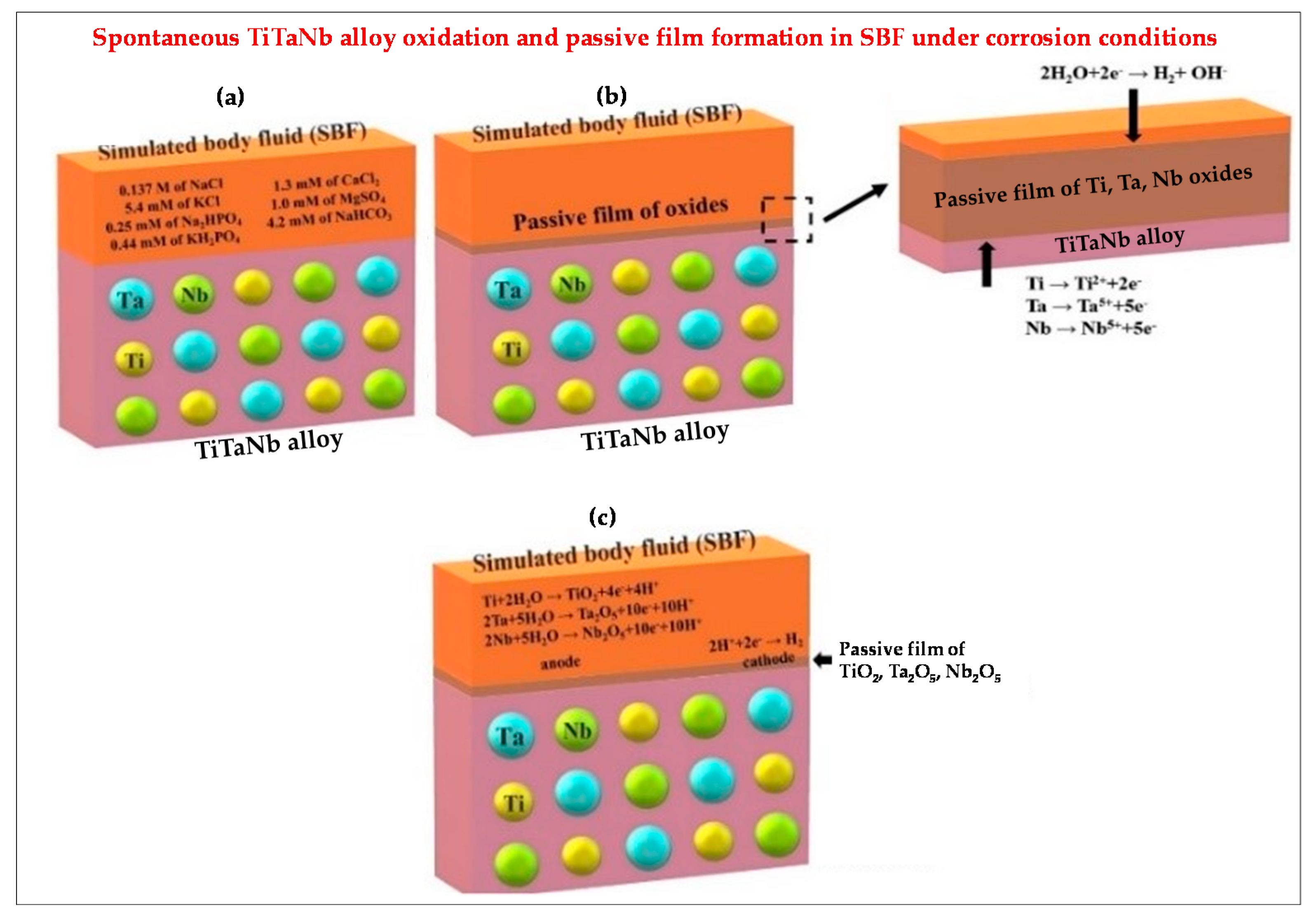 Coatings 11 00487 g013 Coatings 11 00487 g013