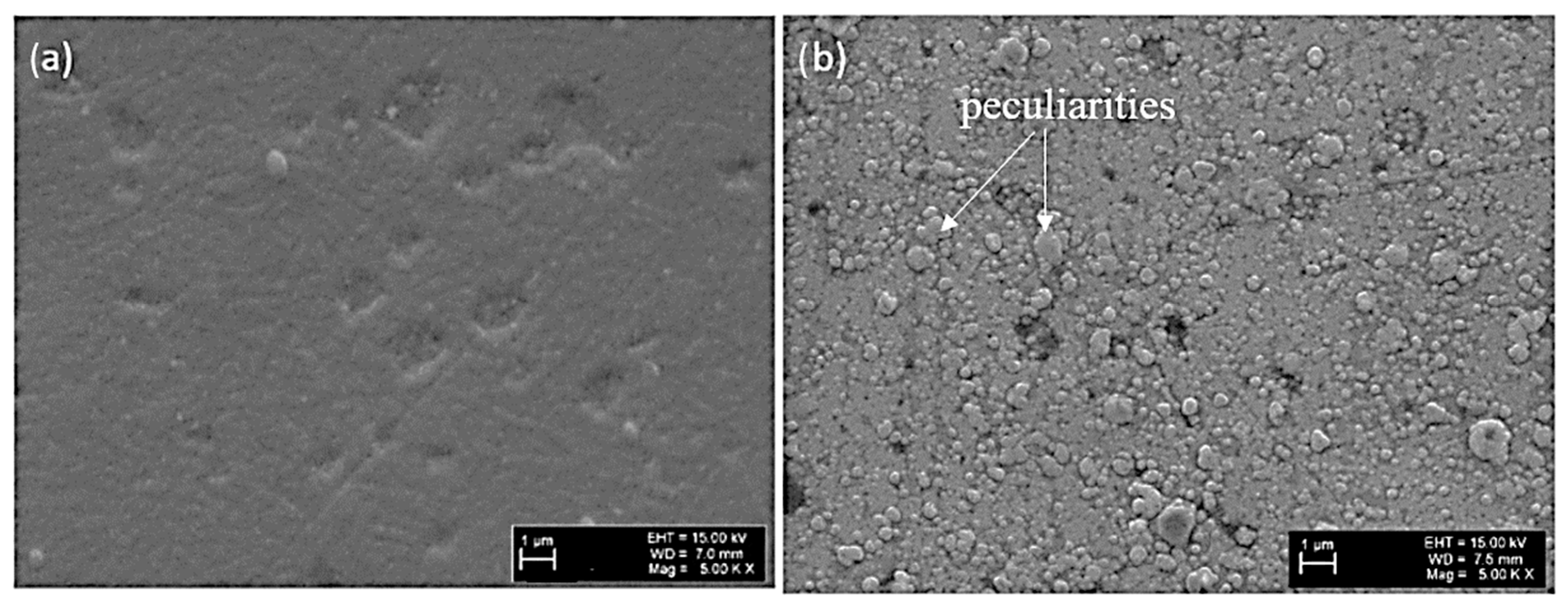 Coatings 11 00495 g001