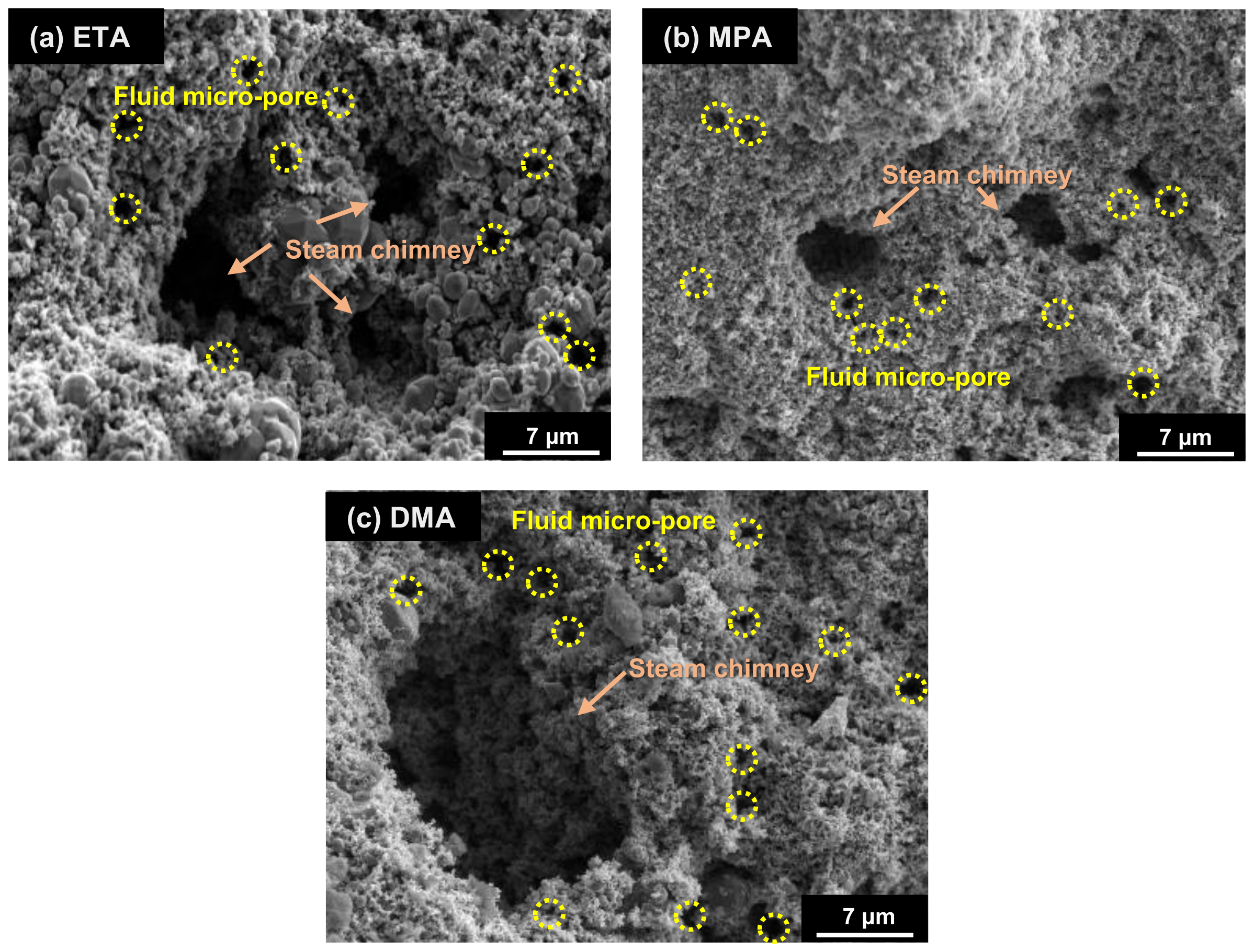 Coatings 11 00514 g008
