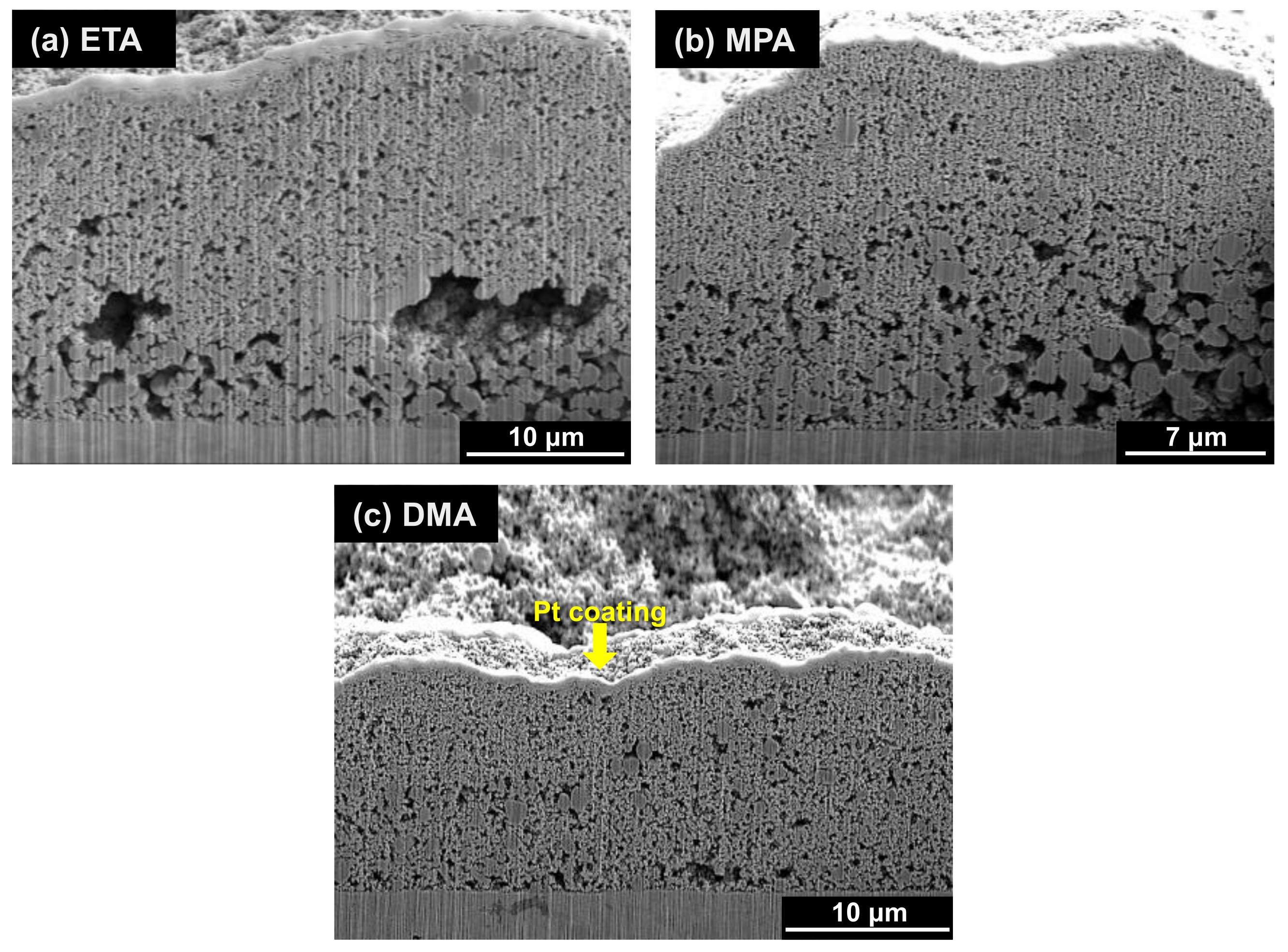 Coatings 11 00514 g009