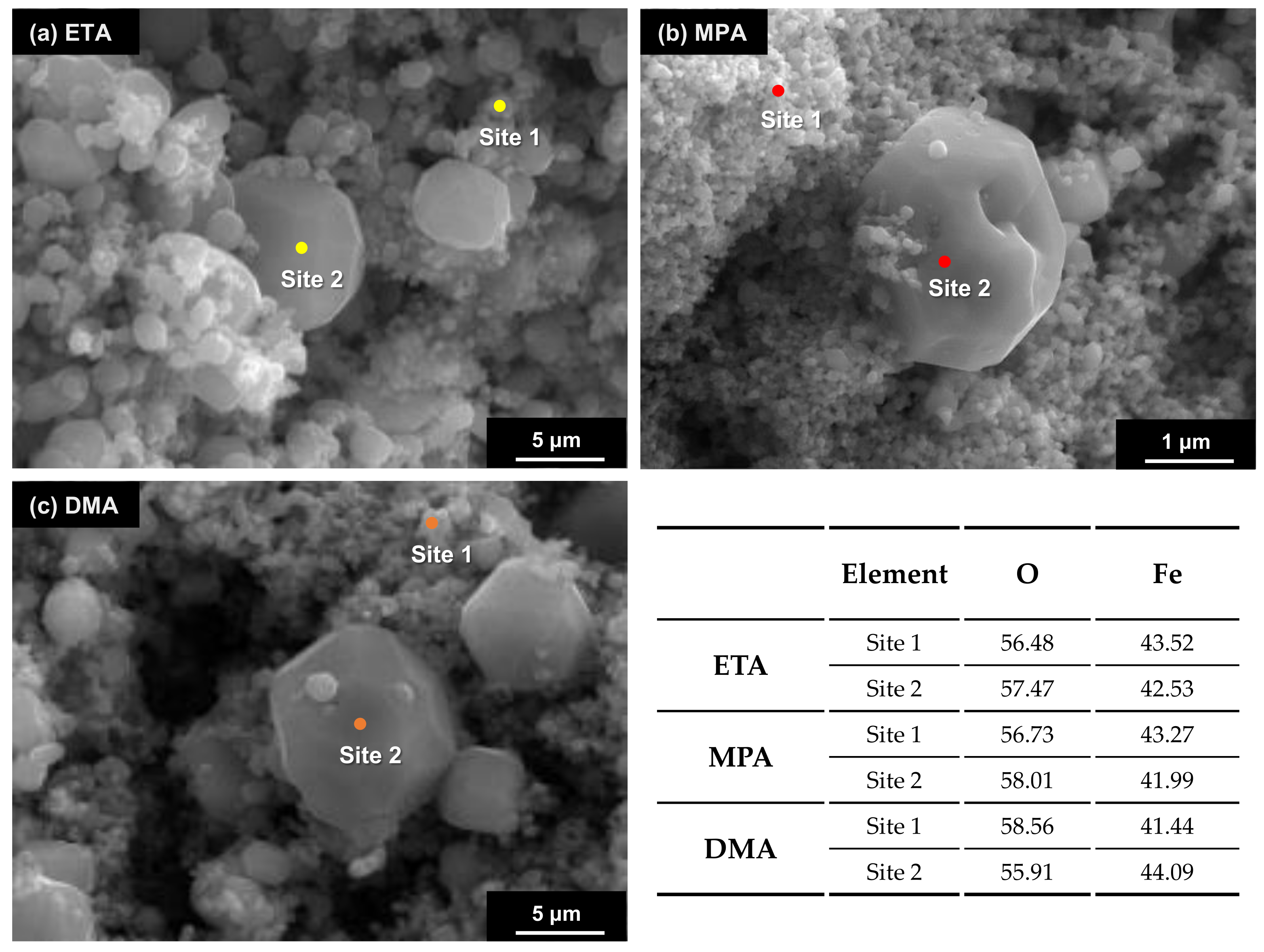 Coatings 11 00514 g012
