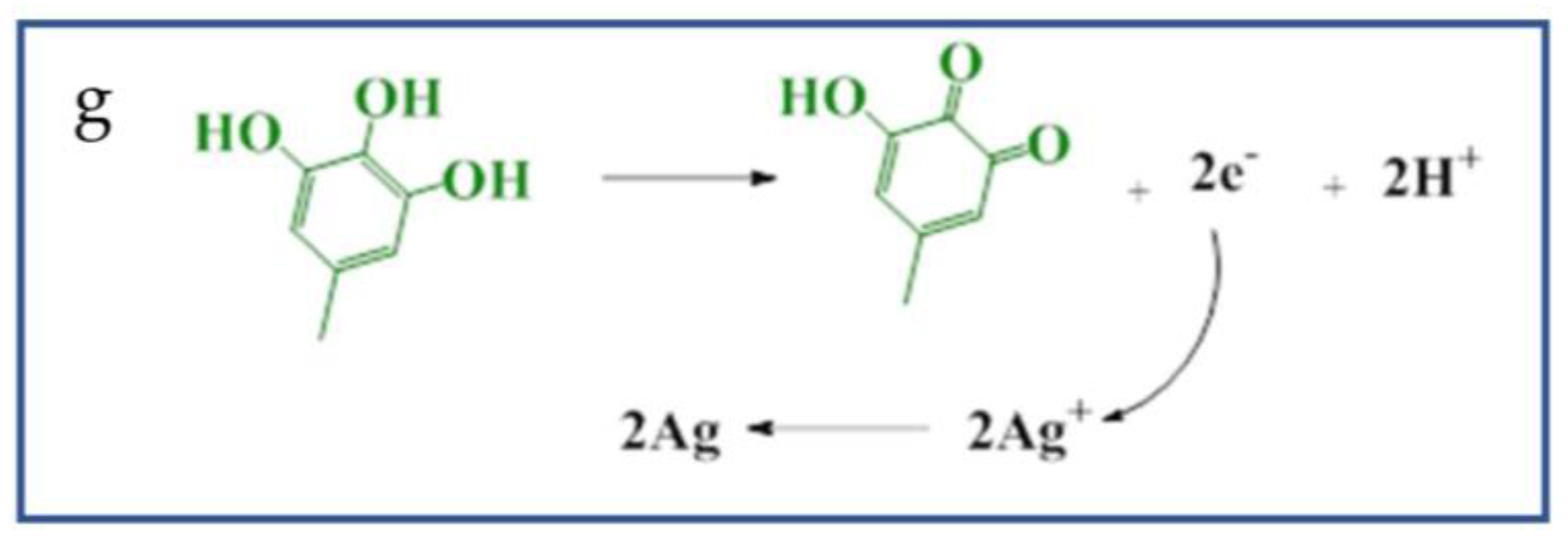 Coatings 11 00521 g002b