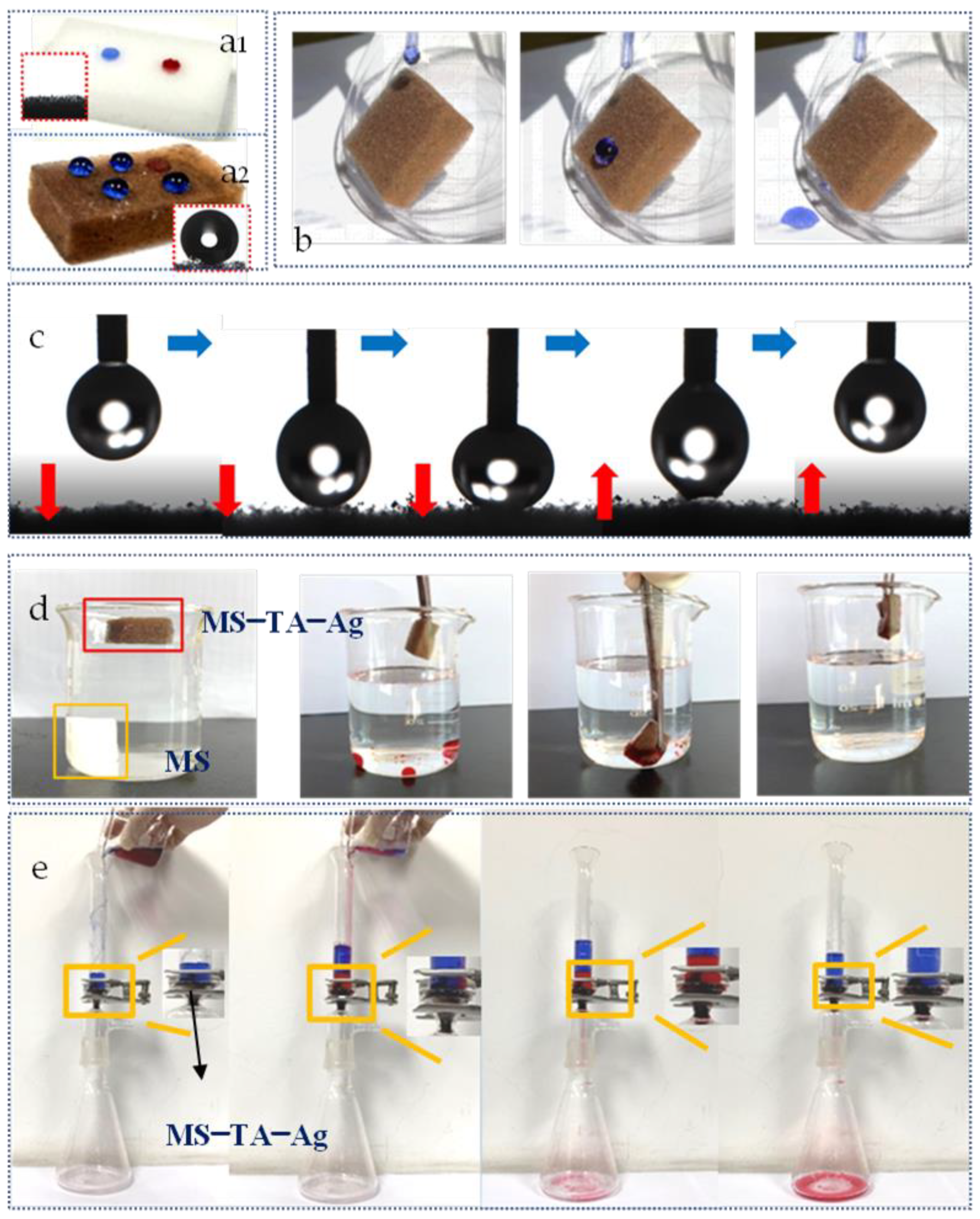 Coatings 11 00521 g005