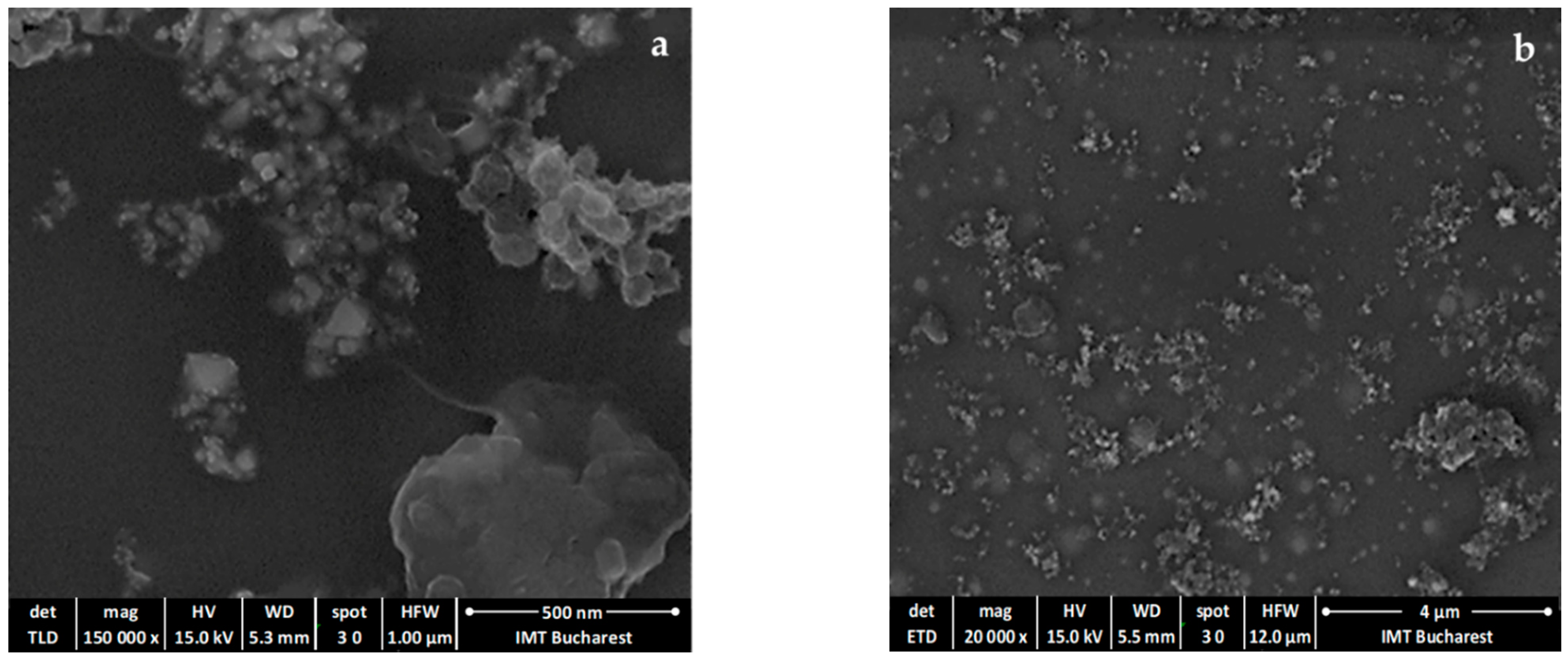 Coatings 11 00530 g004 Coatings 11 00530 g004