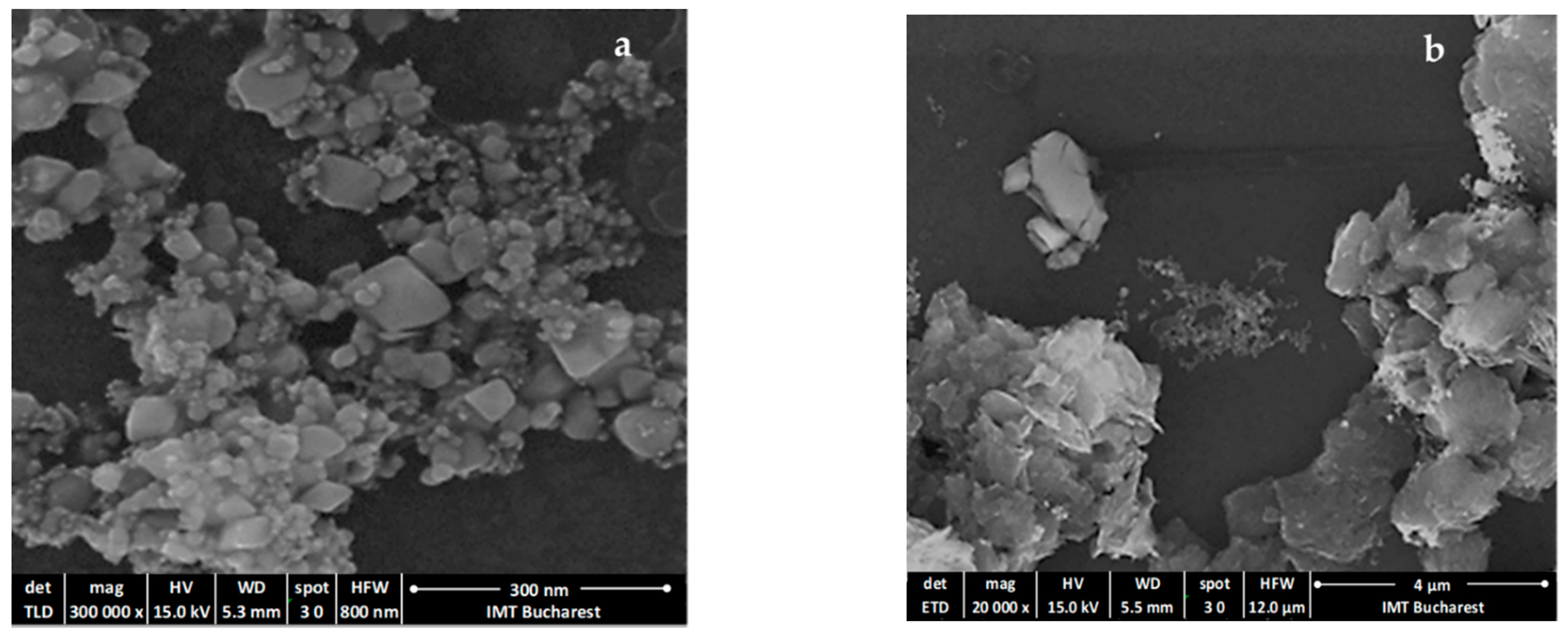 Coatings 11 00530 g005 Coatings 11 00530 g005