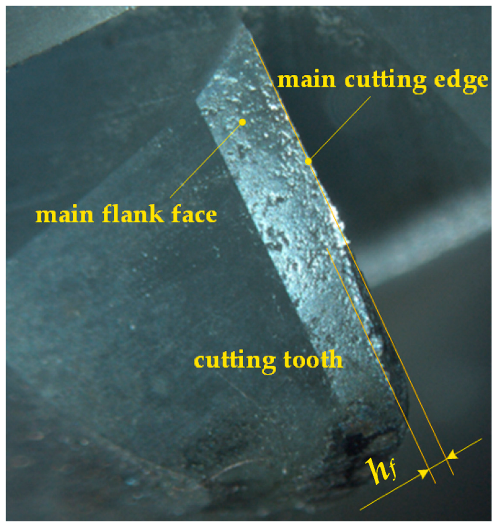 Coatings 11 00532 g008