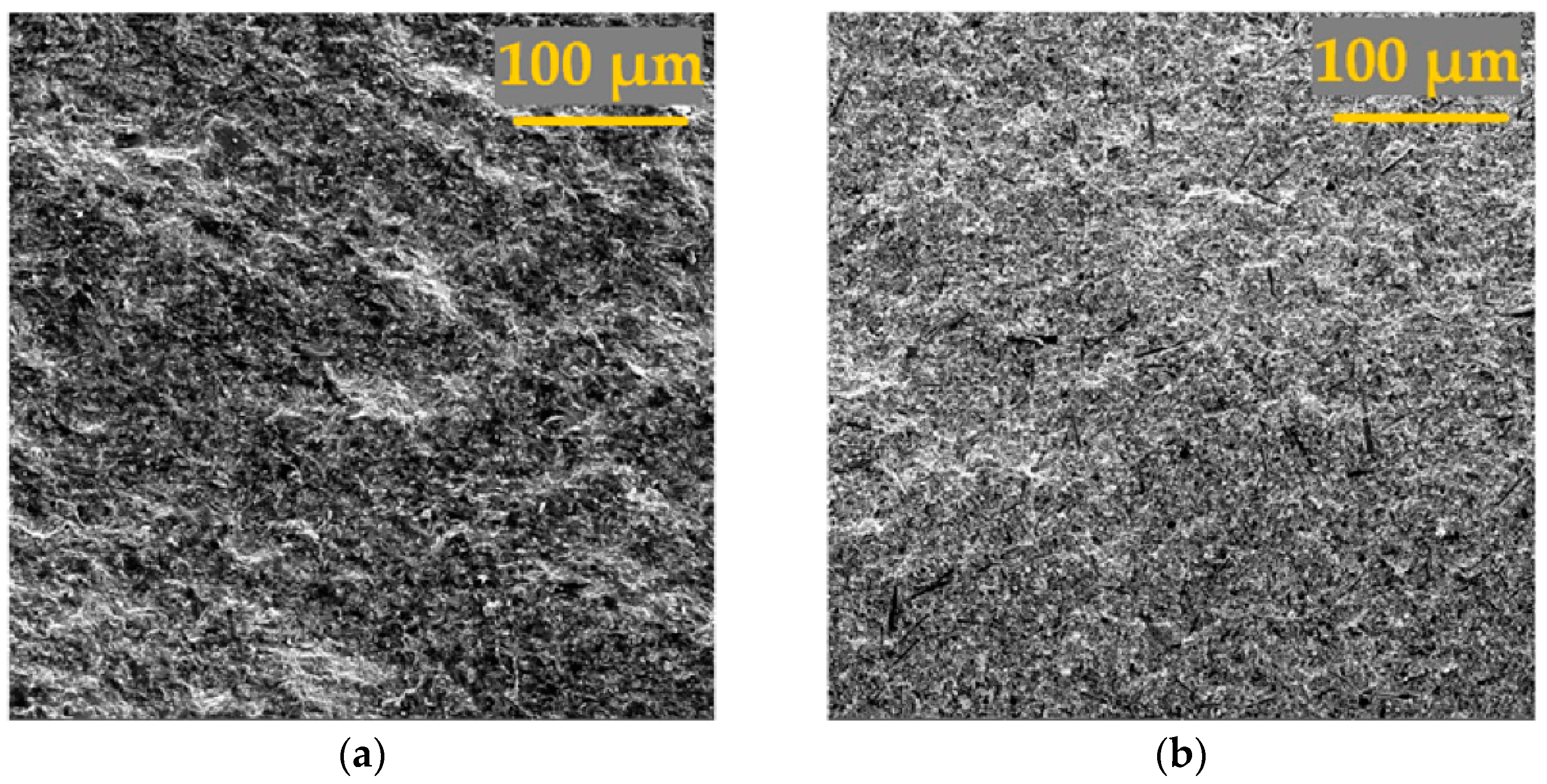 Coatings 11 00532 g010a