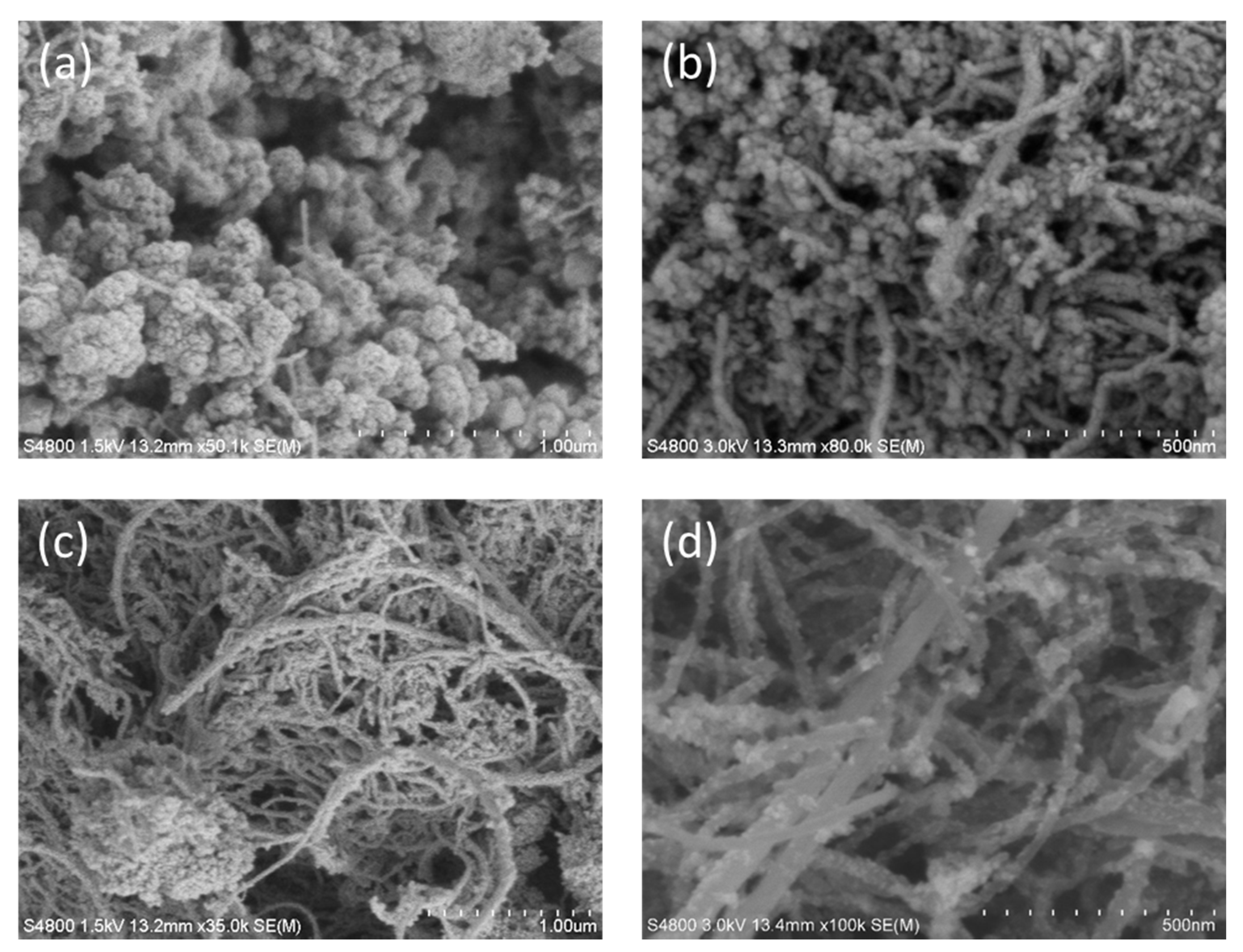Coatings 11 00534 g004