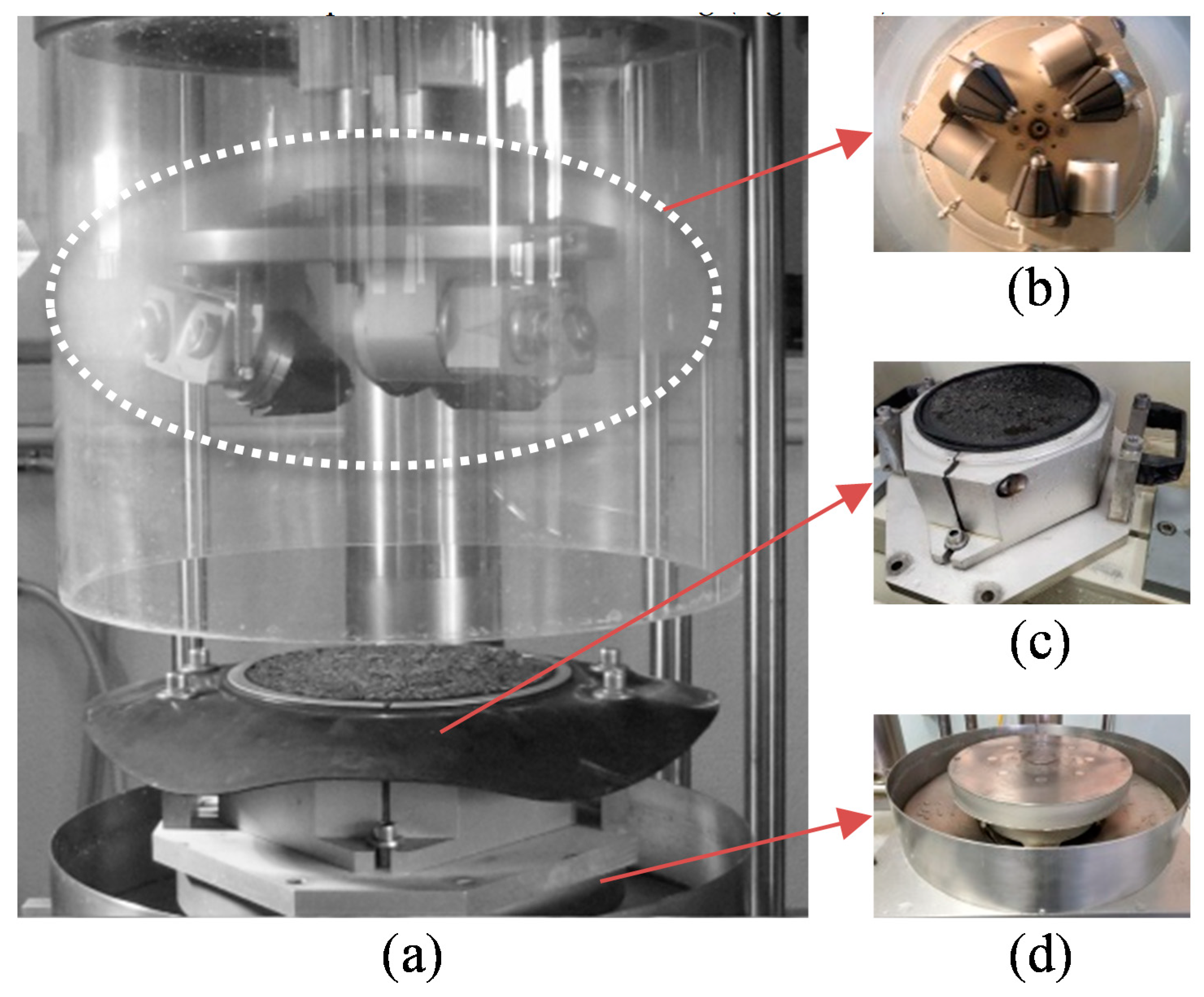 Coatings 11 00538 g003