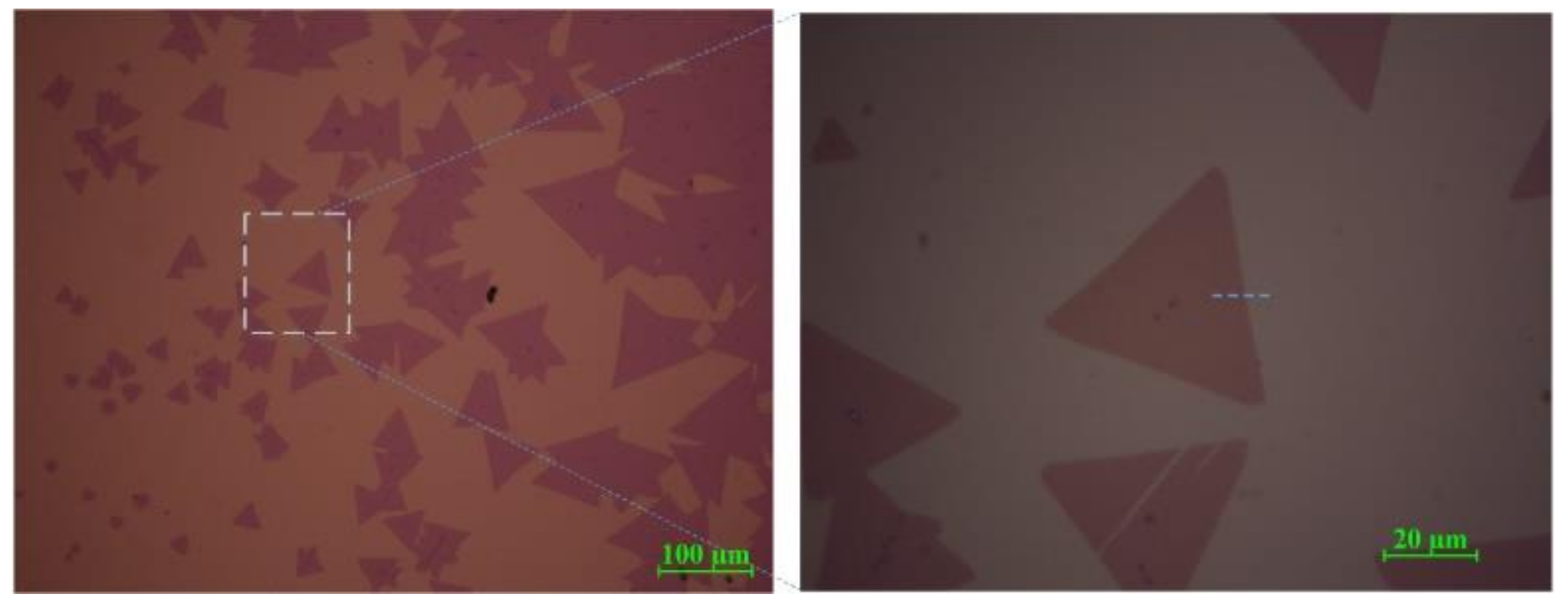 Coatings 11 00547 g002 Coatings 11 00547 g002