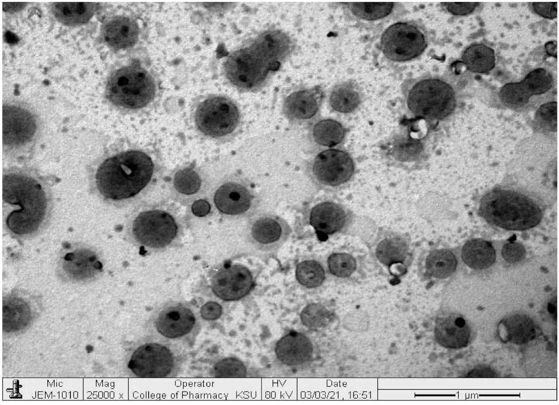 Coatings 11 00548 g005 Coatings 11 00548 g005