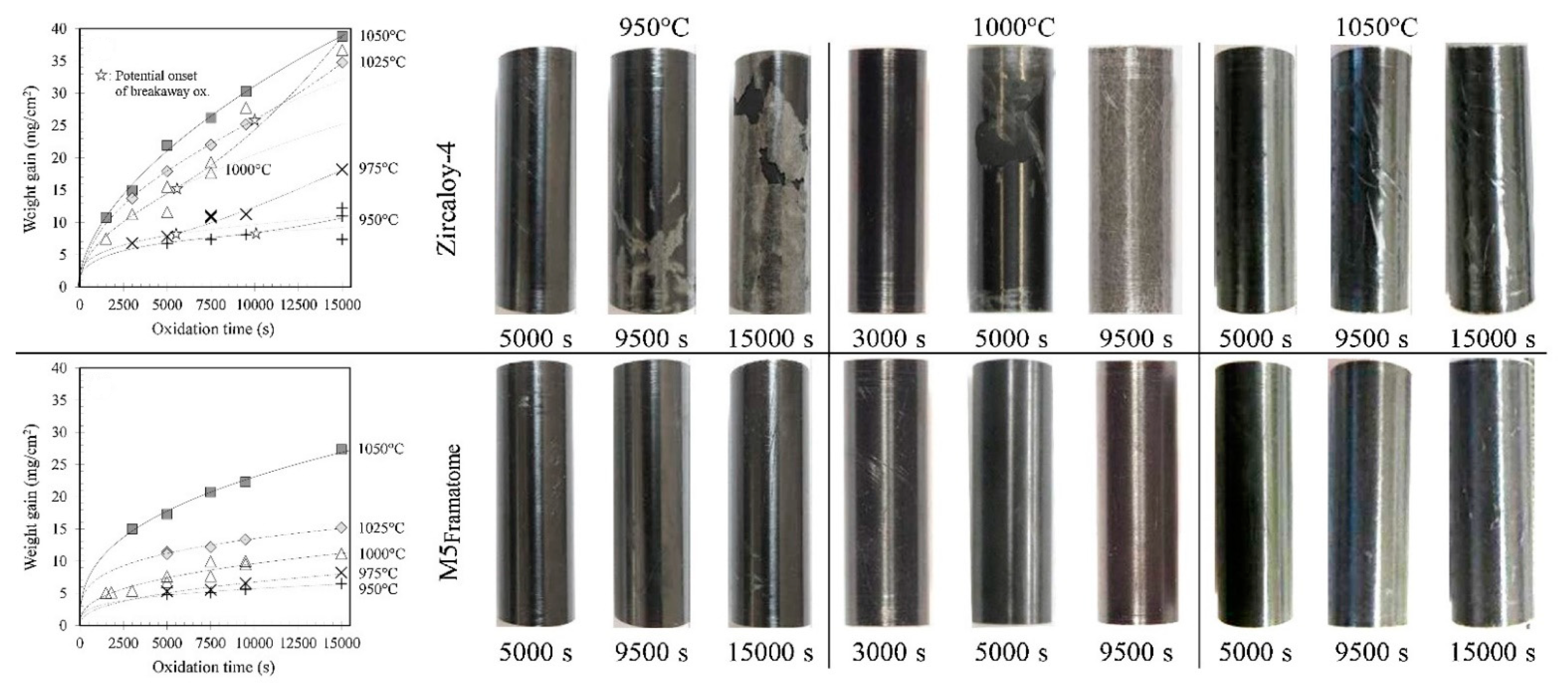 Coatings 11 00557 g002