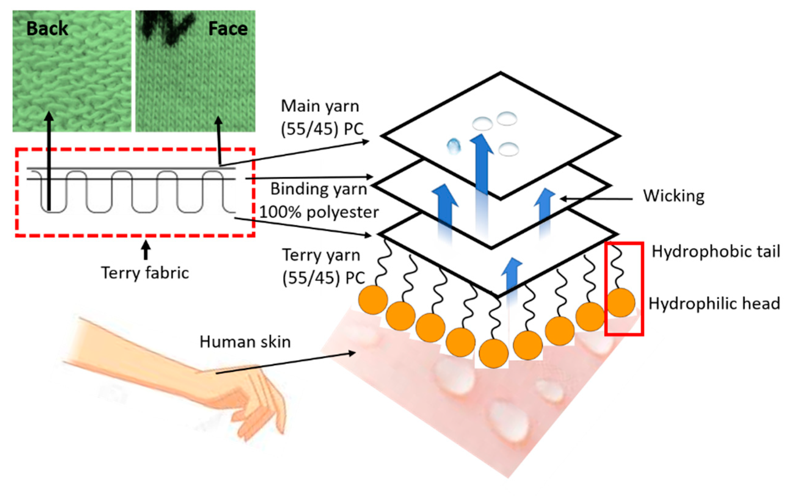 Coatings 11 00575 g007