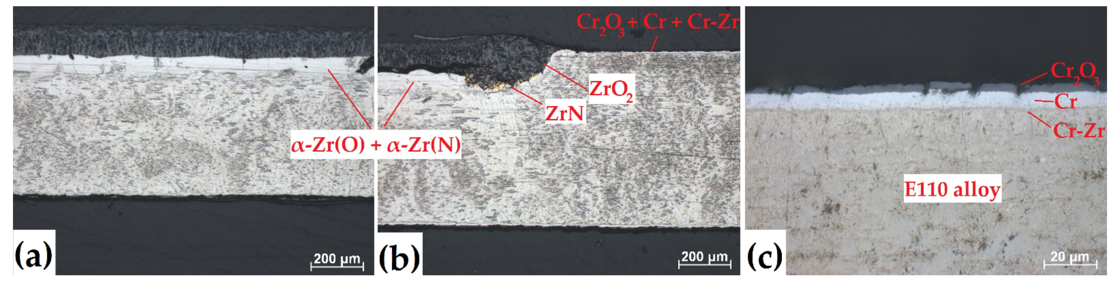 Coatings 11 00577 g007