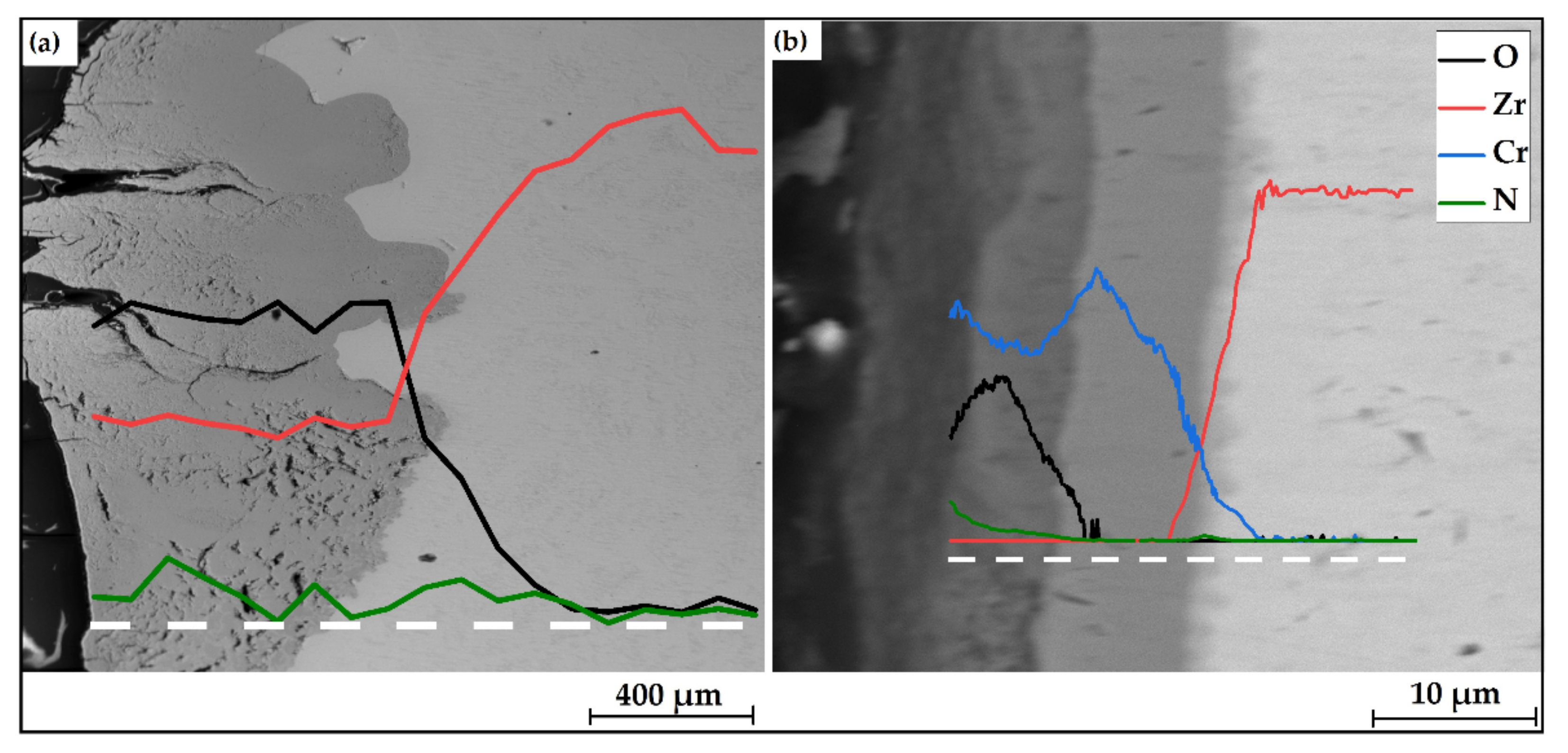 Coatings 11 00577 g008