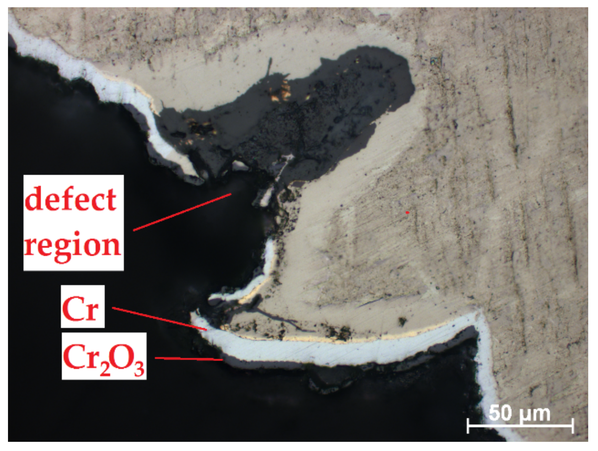 Coatings 11 00577 g010