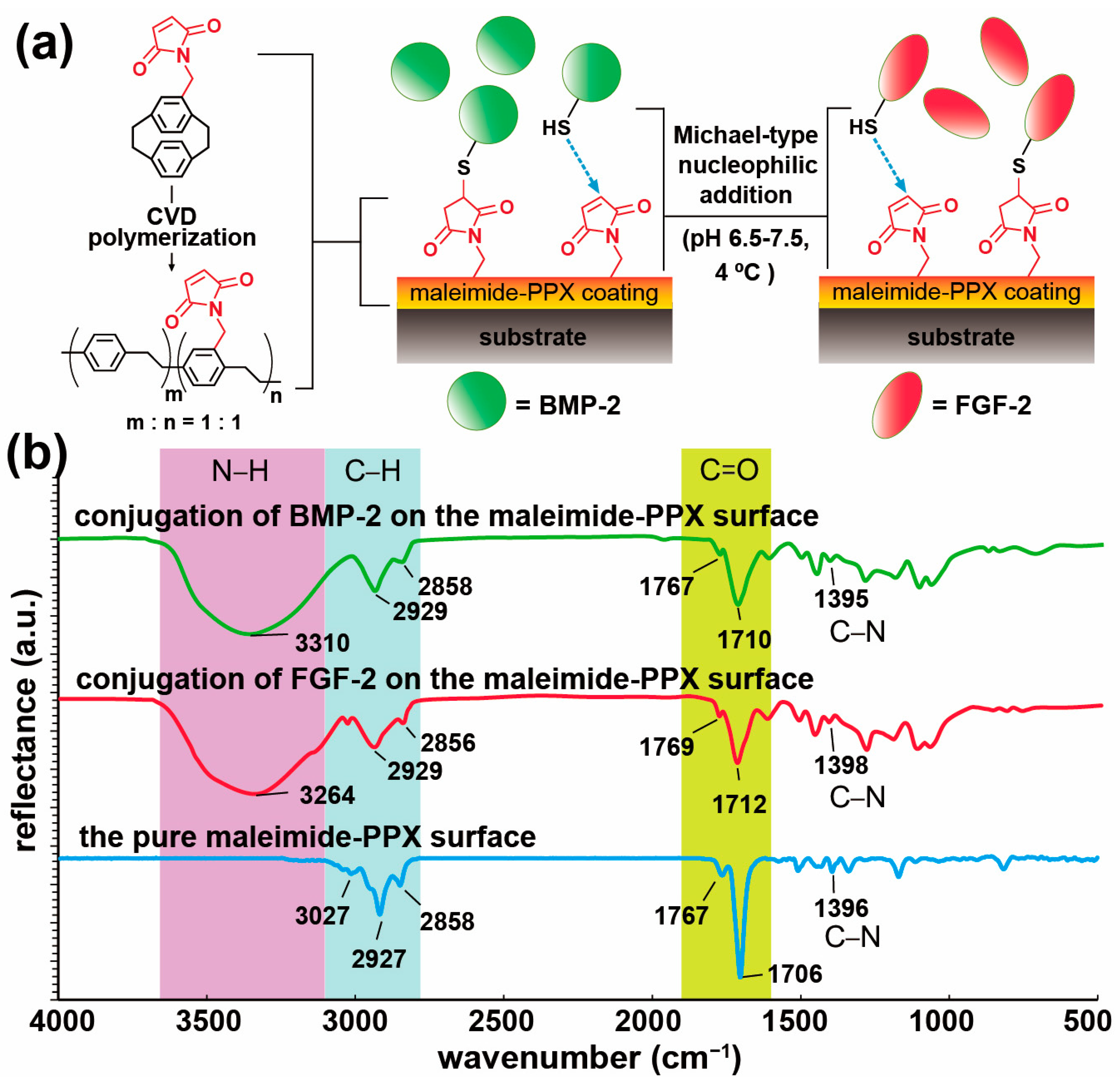 Coatings 11 00582 g001