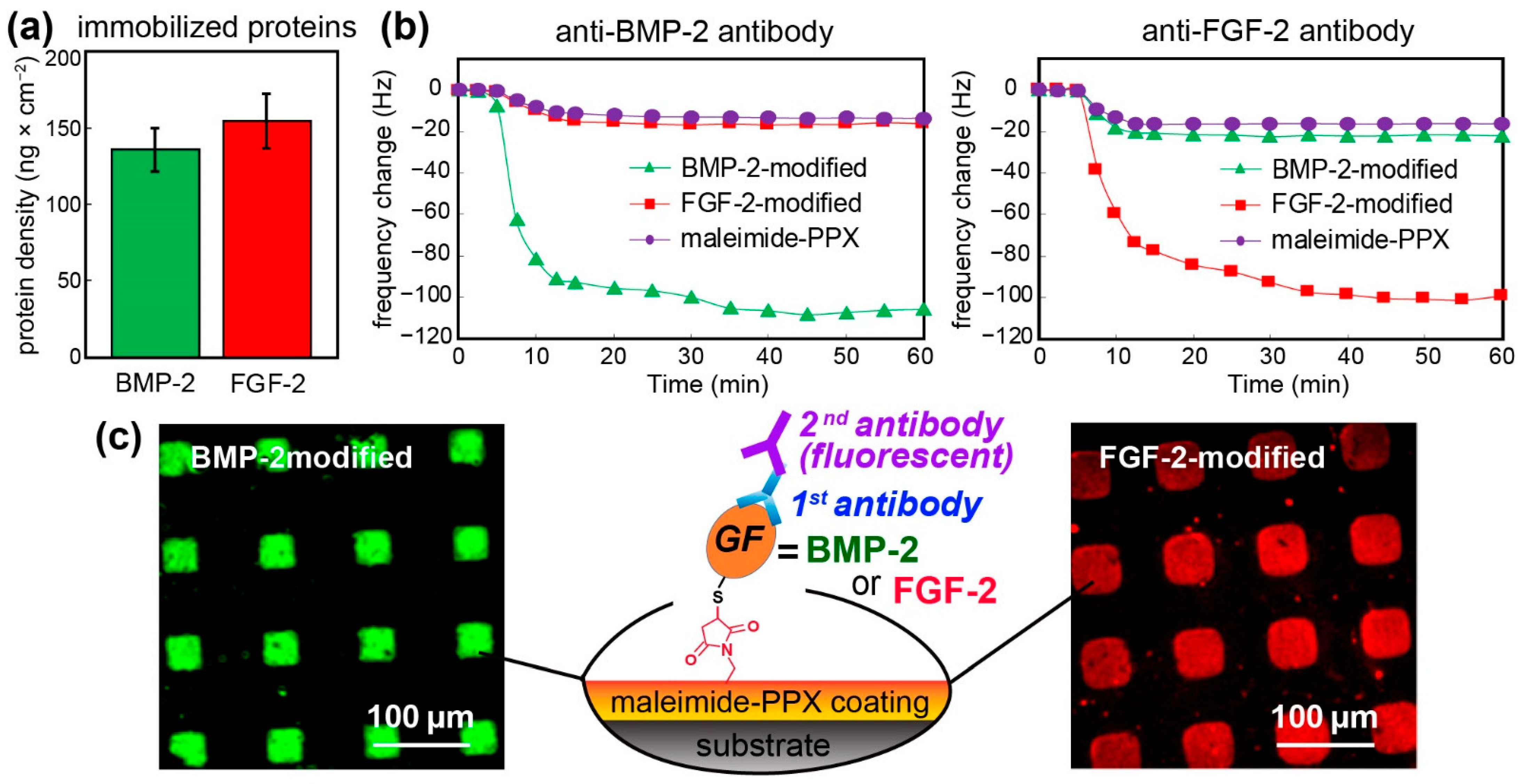 Coatings 11 00582 g002