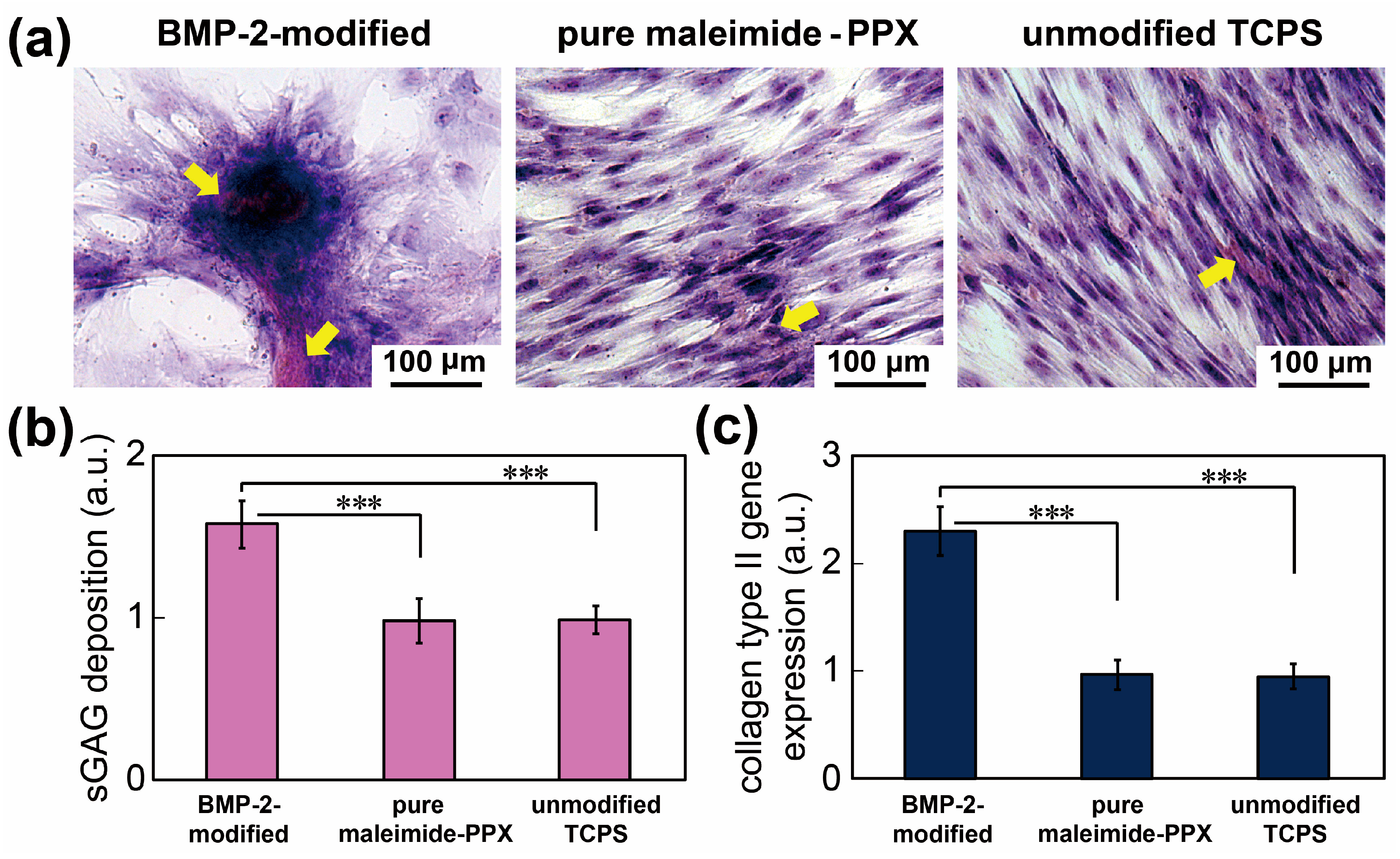 Coatings 11 00582 g004