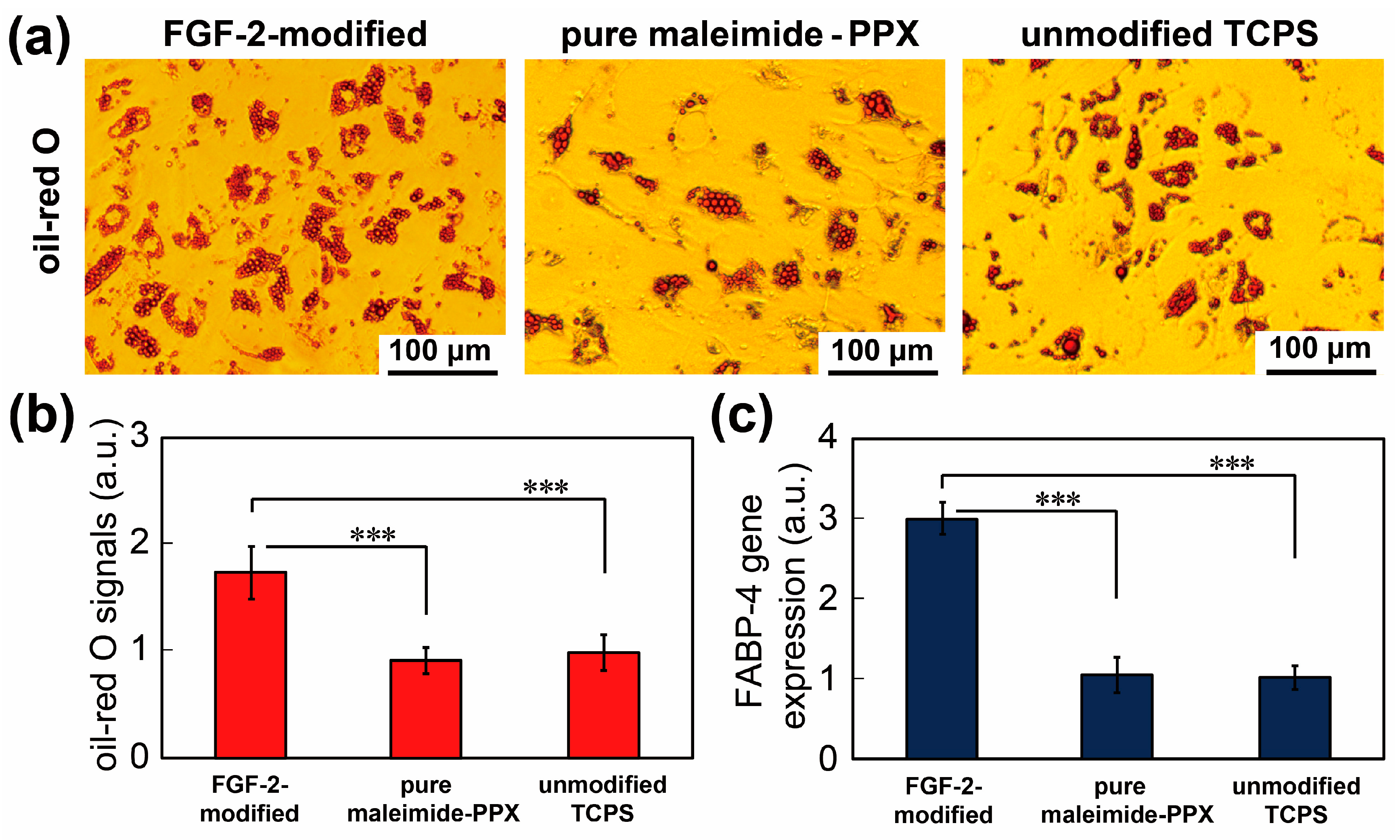 Coatings 11 00582 g005