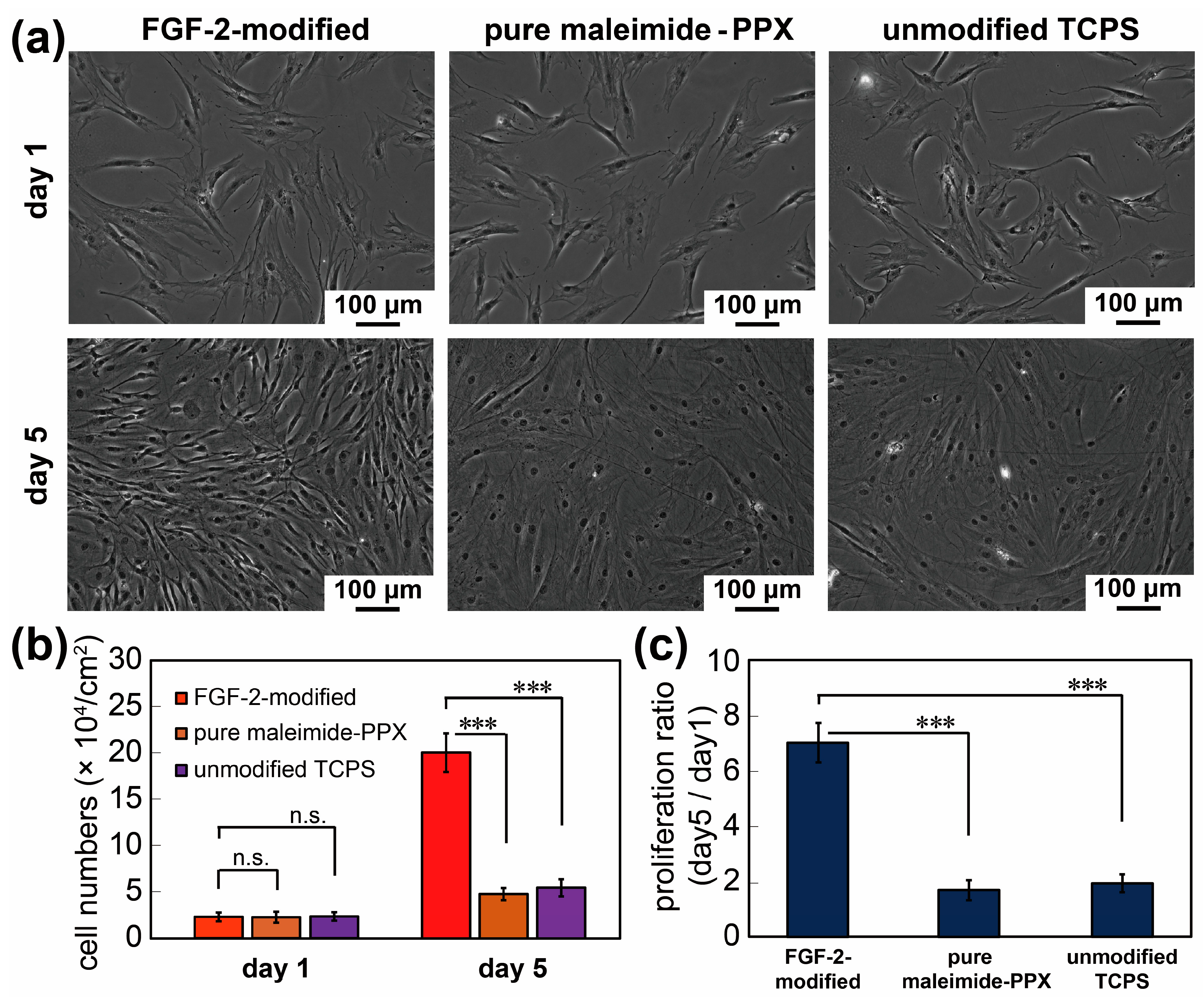 Coatings 11 00582 g006