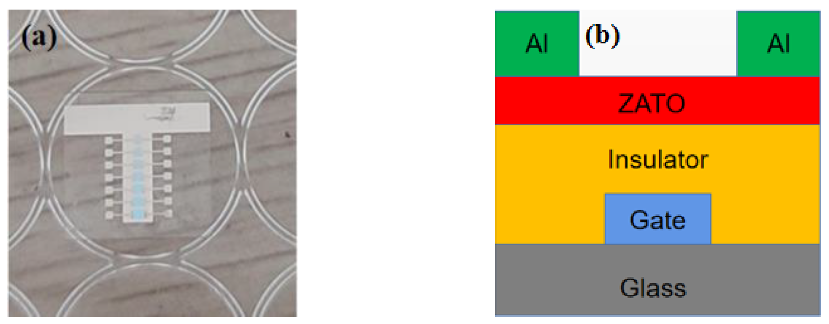 Coatings 11 00585 g001