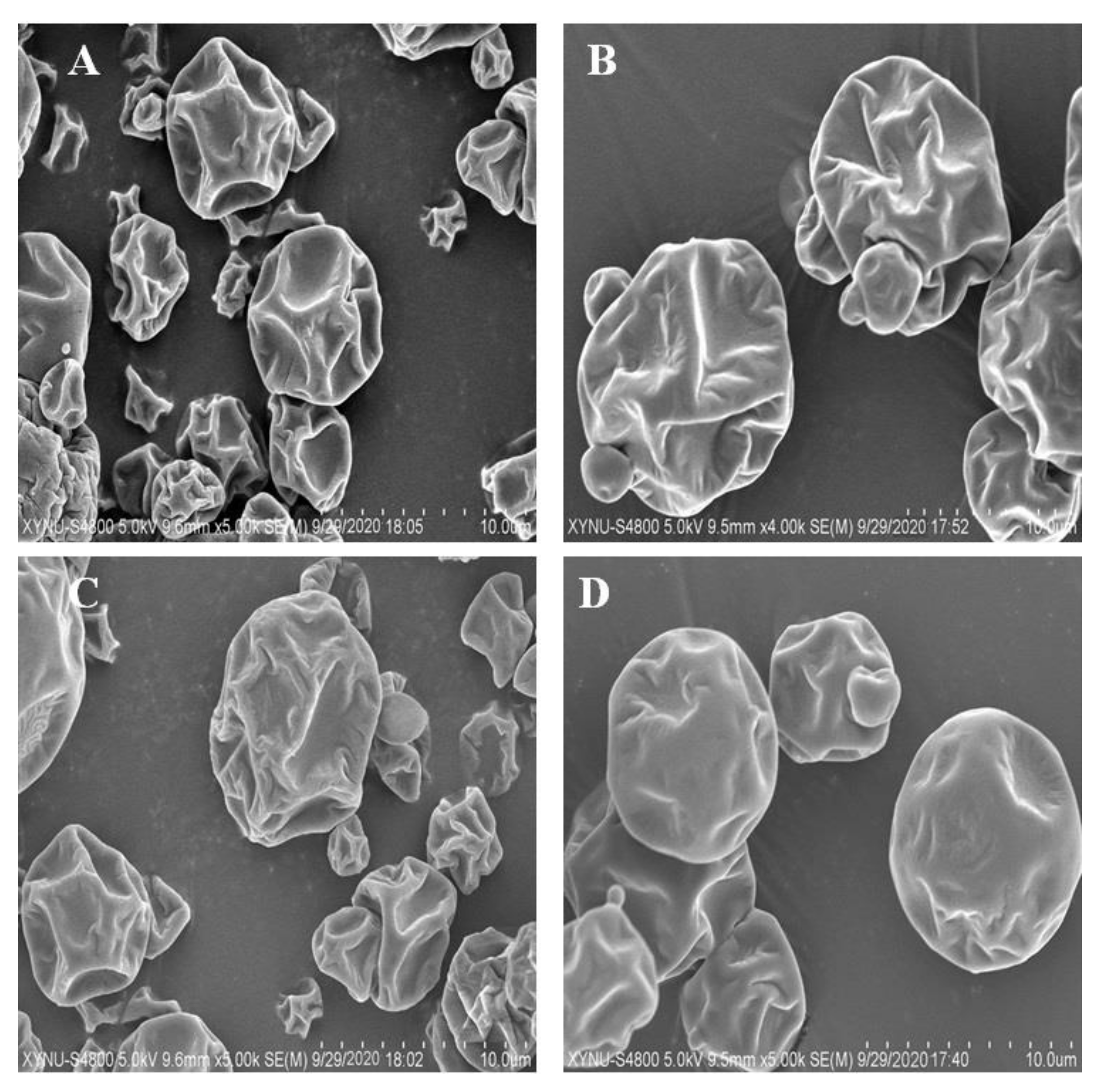 Coatings 11 00587 g004
