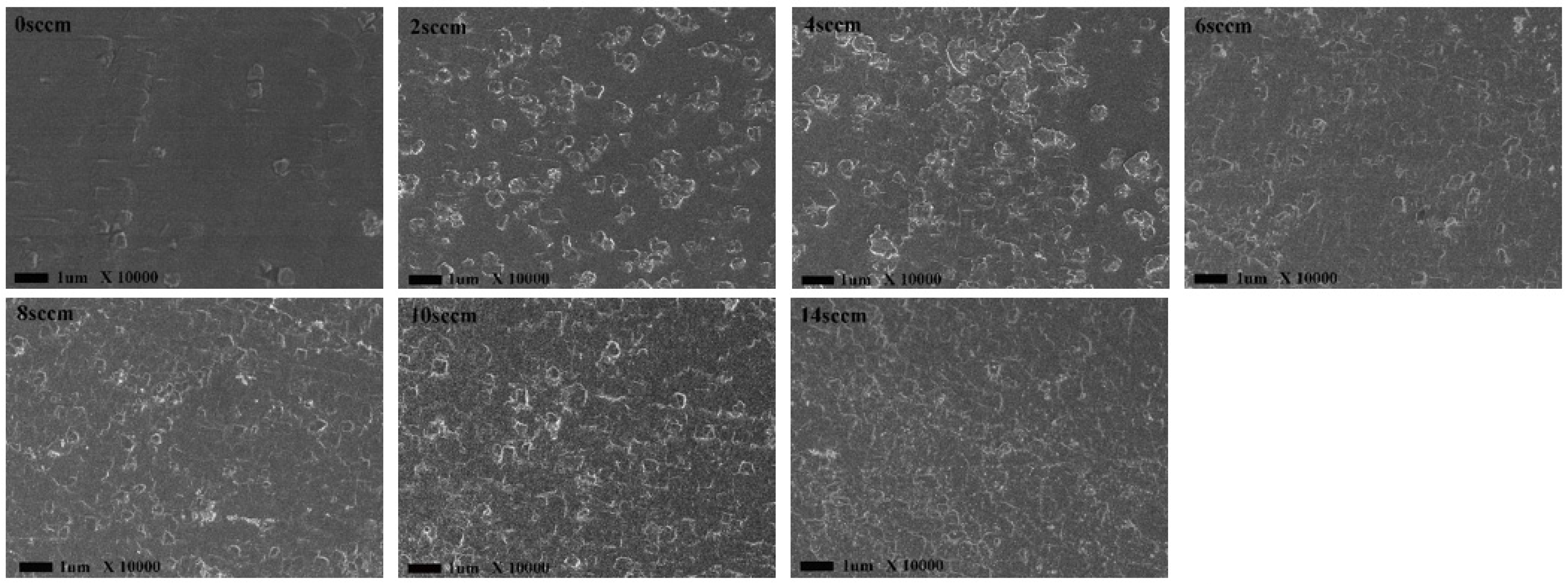 Coatings 11 00589 g002