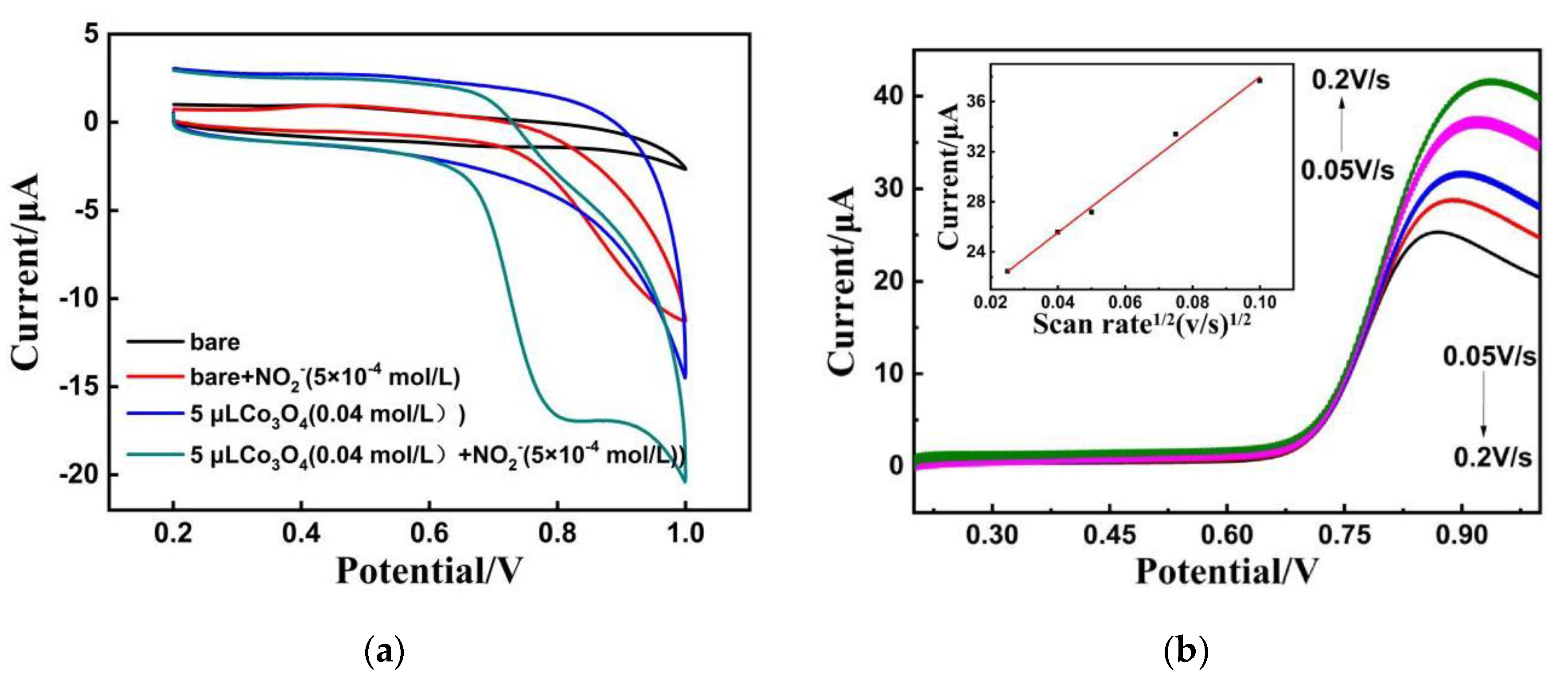 Coatings 11 00596 g004